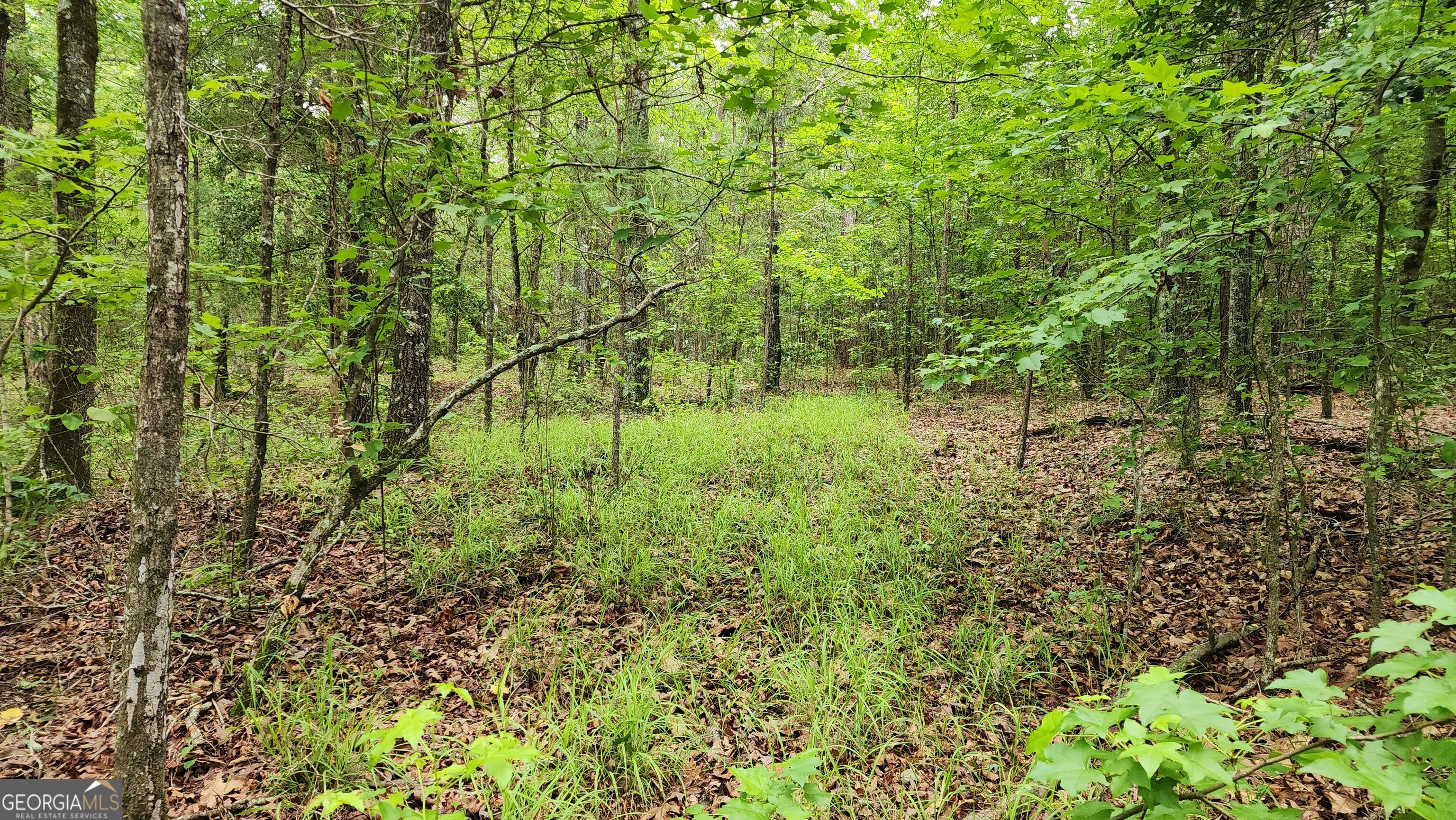 143 Highway 341 S Property Photo 12