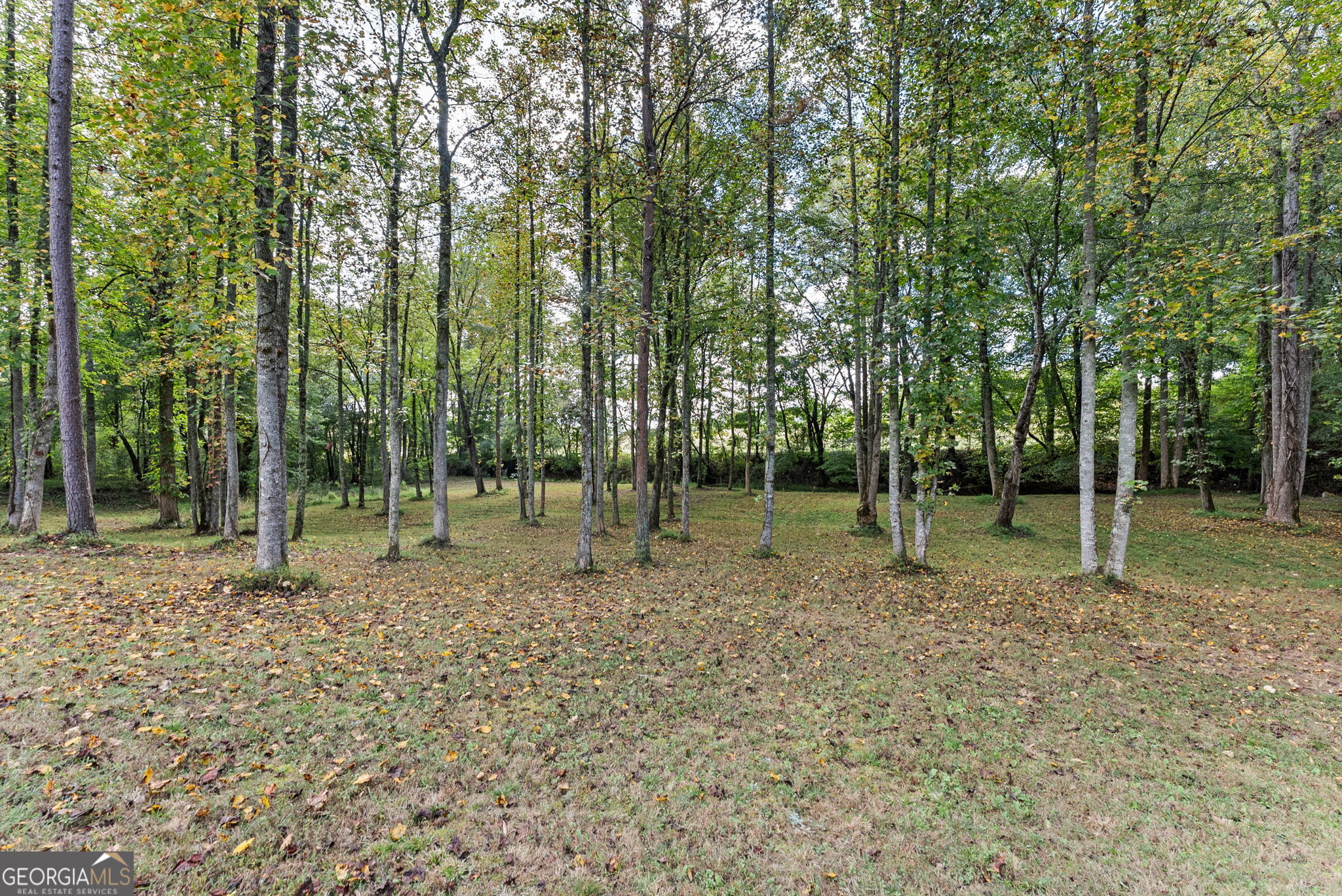 252 Yonah Way Property Photo 45