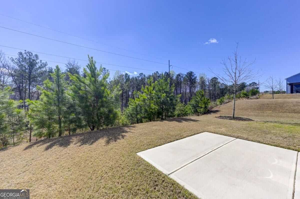 3154 Ellenton Drive Property Photo 41