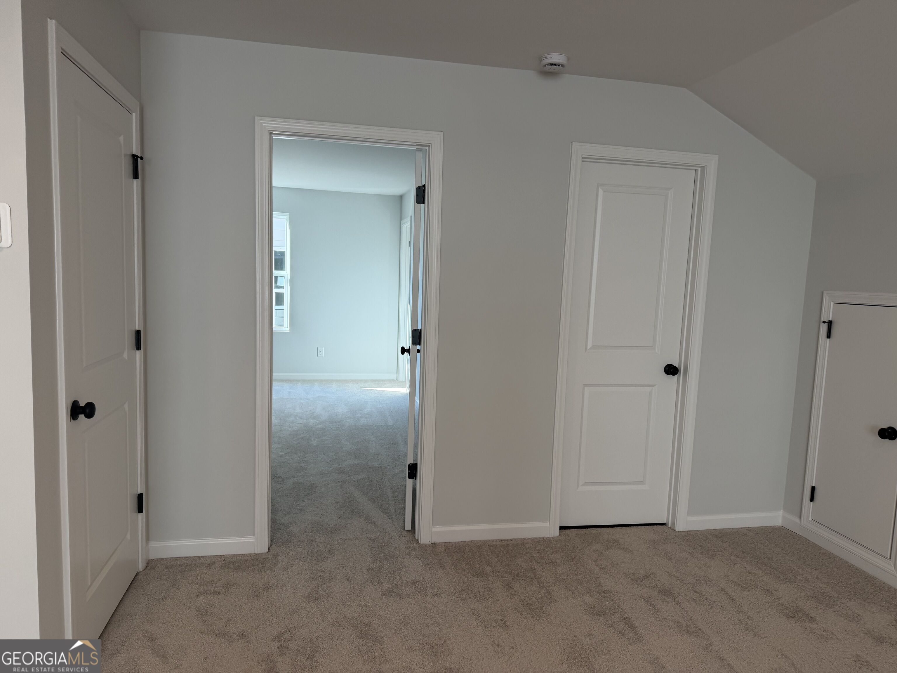 3375 Willow Glade Trail Property Photo 12