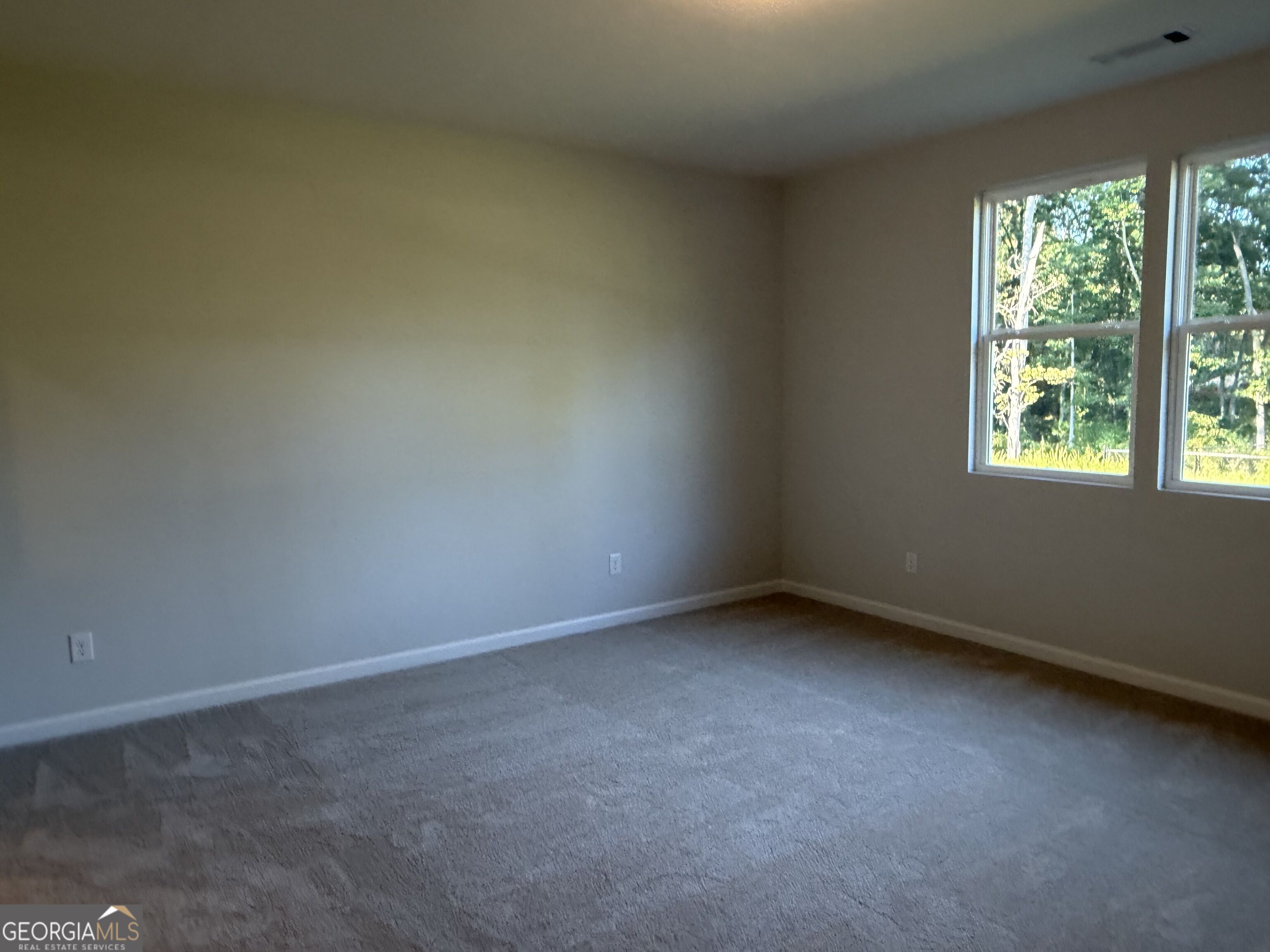 3375 Willow Glade Trail Property Photo 16