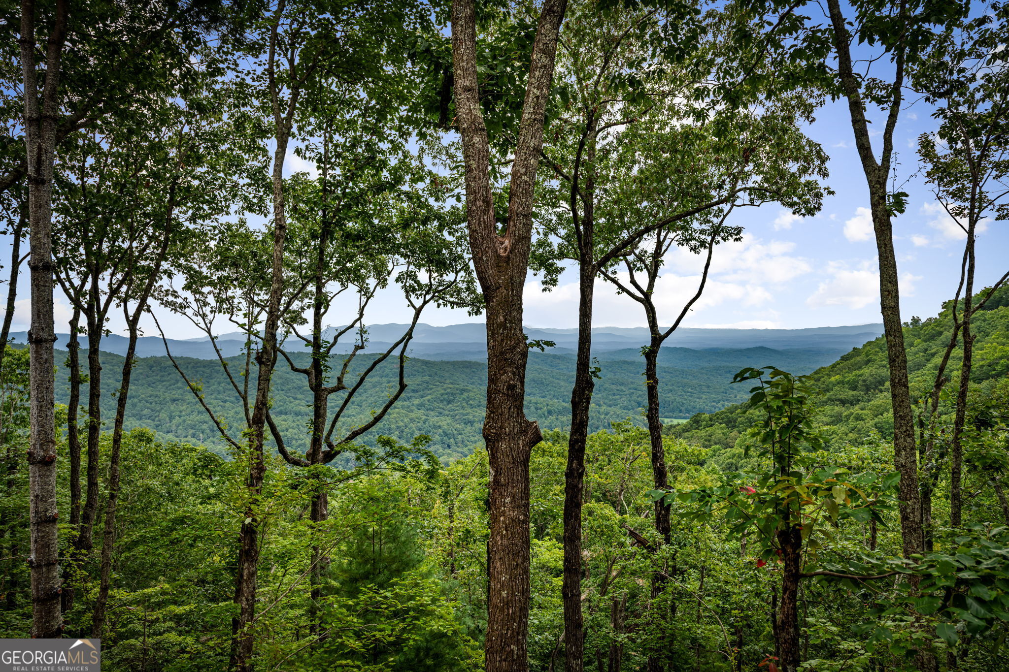 380 Utana Bluffs Trail Property Photo 13