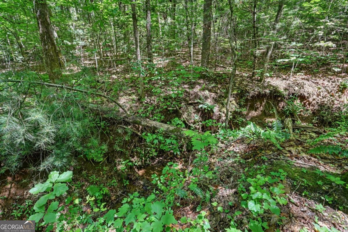 252 Navigator Lane Property Photo 52