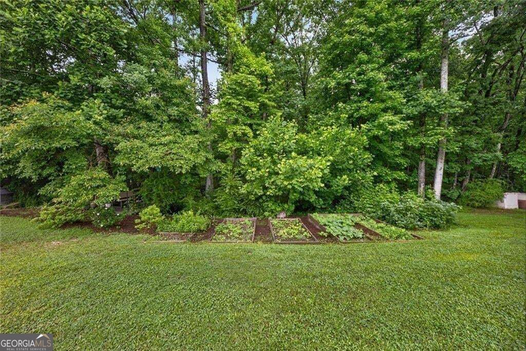 1260 Old Victron School Road Property Photo 40