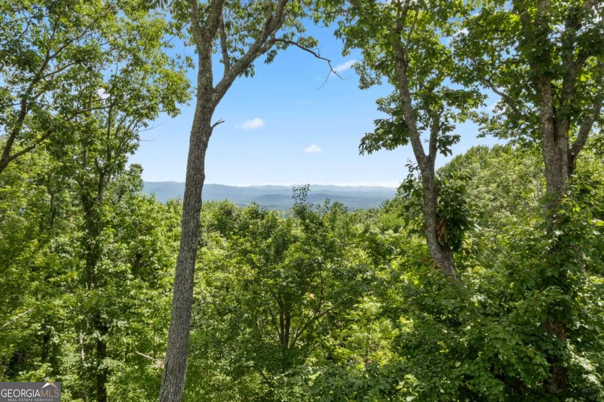 62 Bear Cub Ridge Property Photo 3