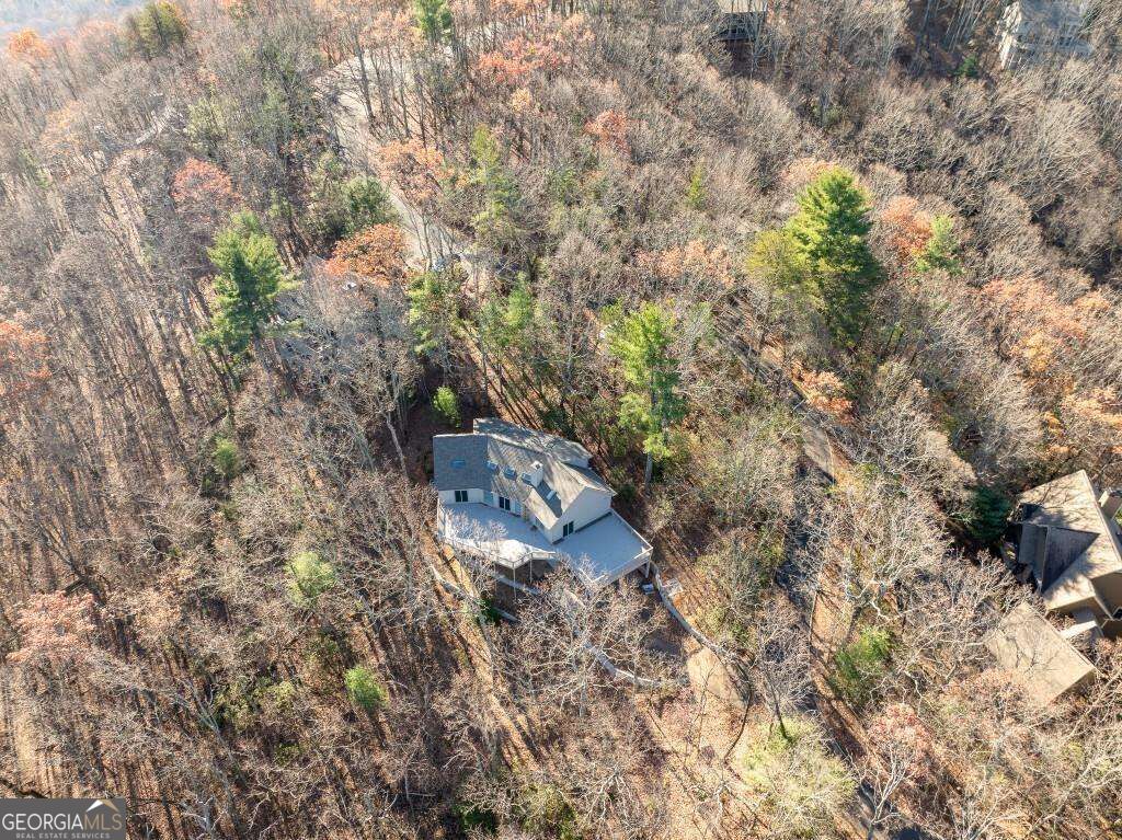 62 Bear Cub Ridge Property Photo 26