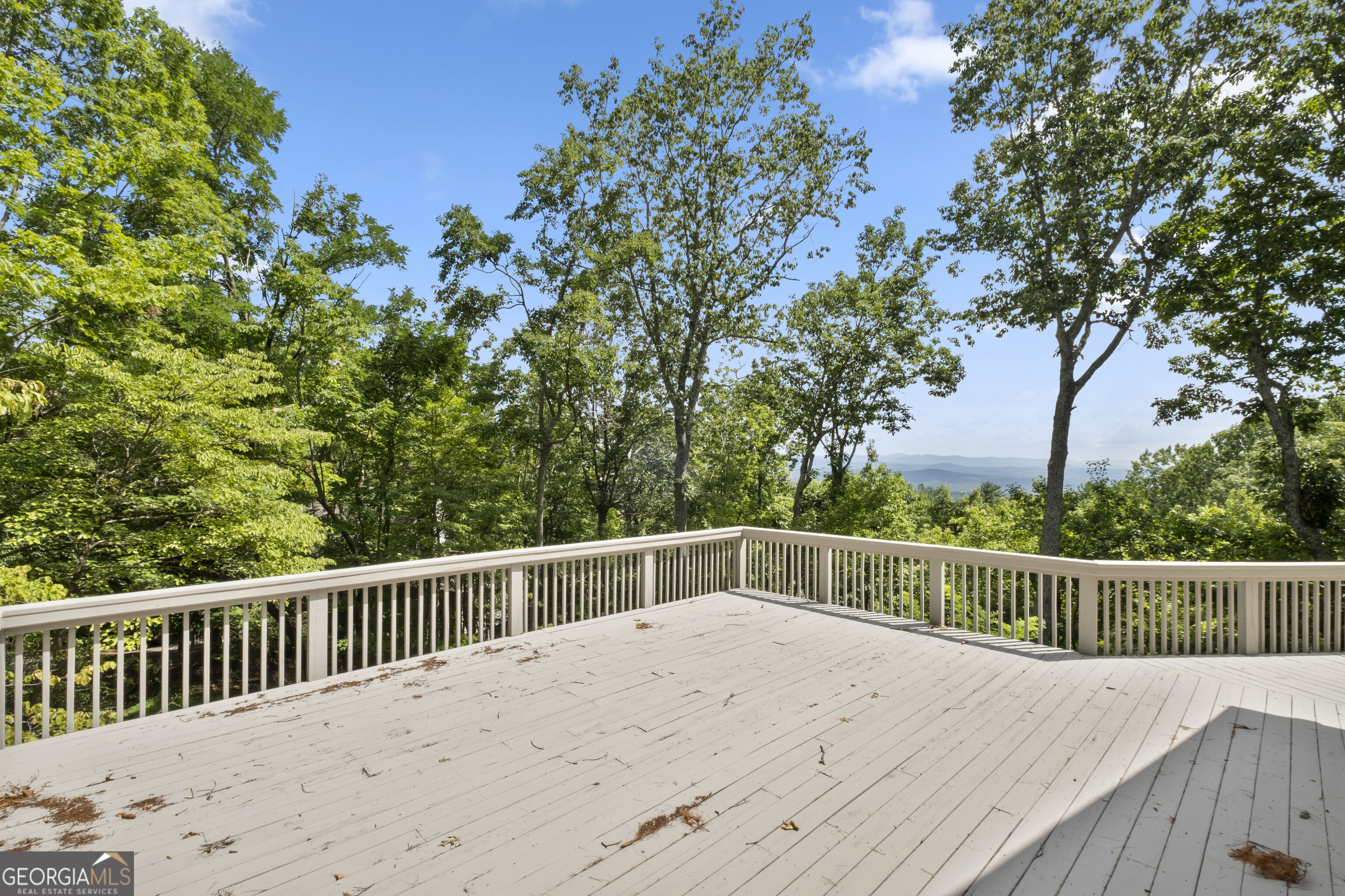 62 Bear Cub Ridge Property Photo 27
