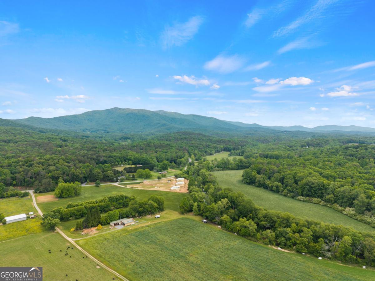 315 Cartecay River Run Property Photo 45