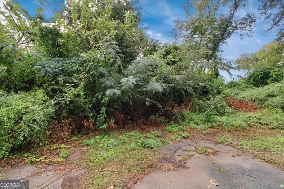 1445 Athens Avenue Sw Property Photo 22