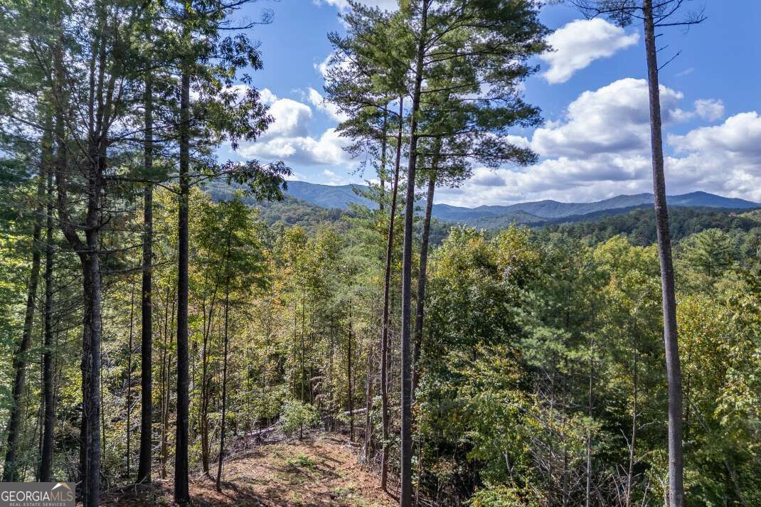 135 Morgan Trail Property Photo 25
