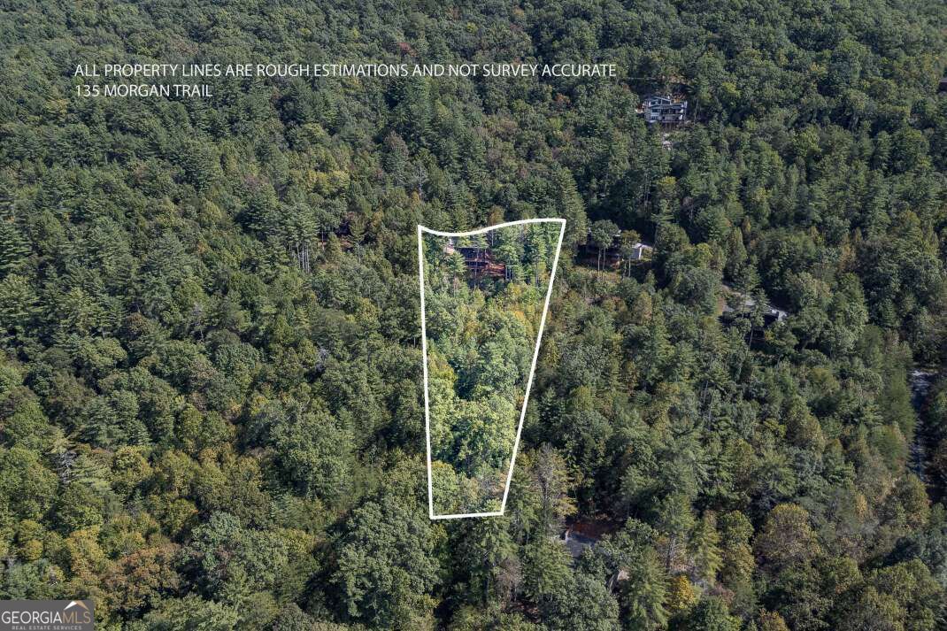 135 Morgan Trail Property Photo 28