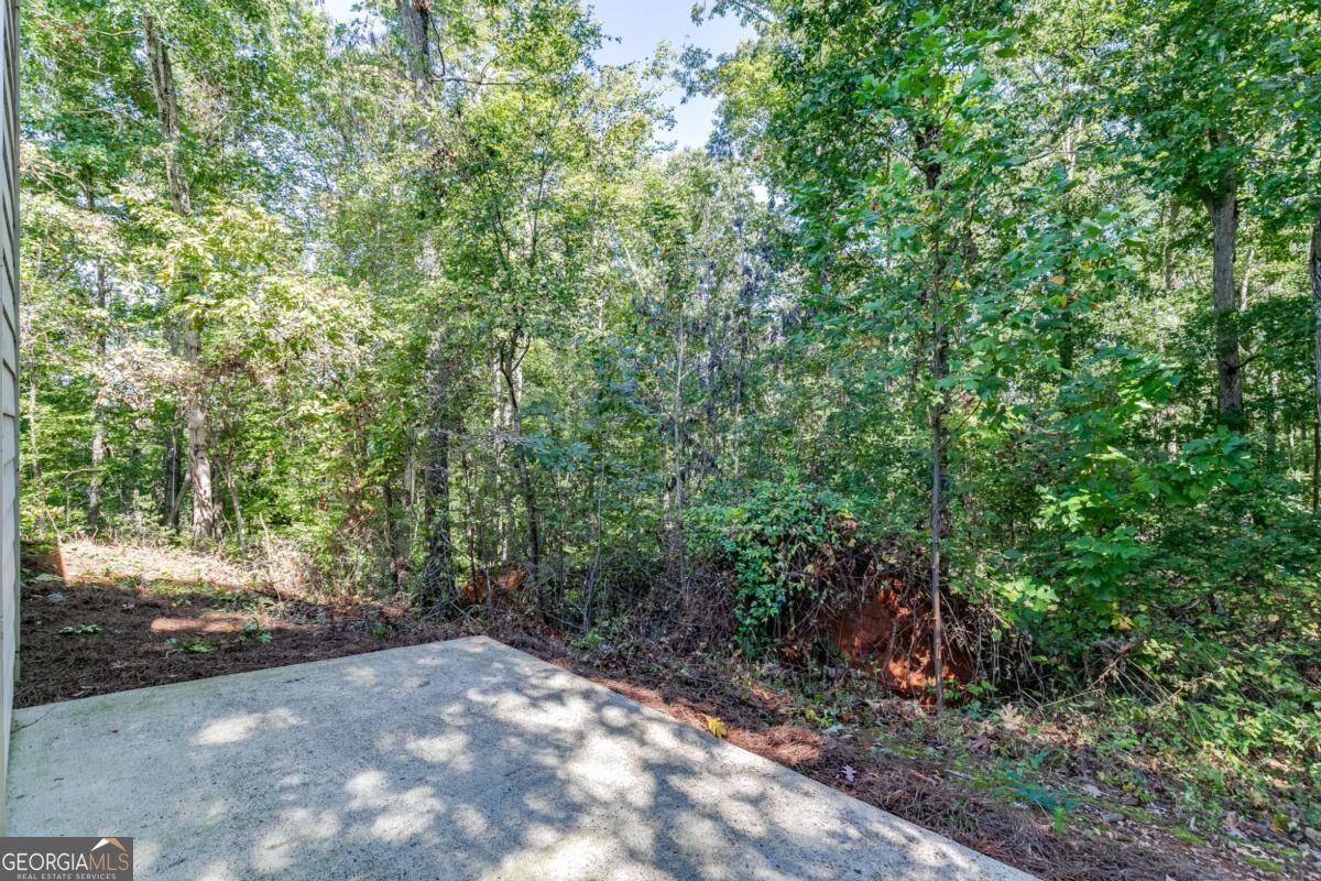 5387 Fawn Ivey Lane Property Photo 33