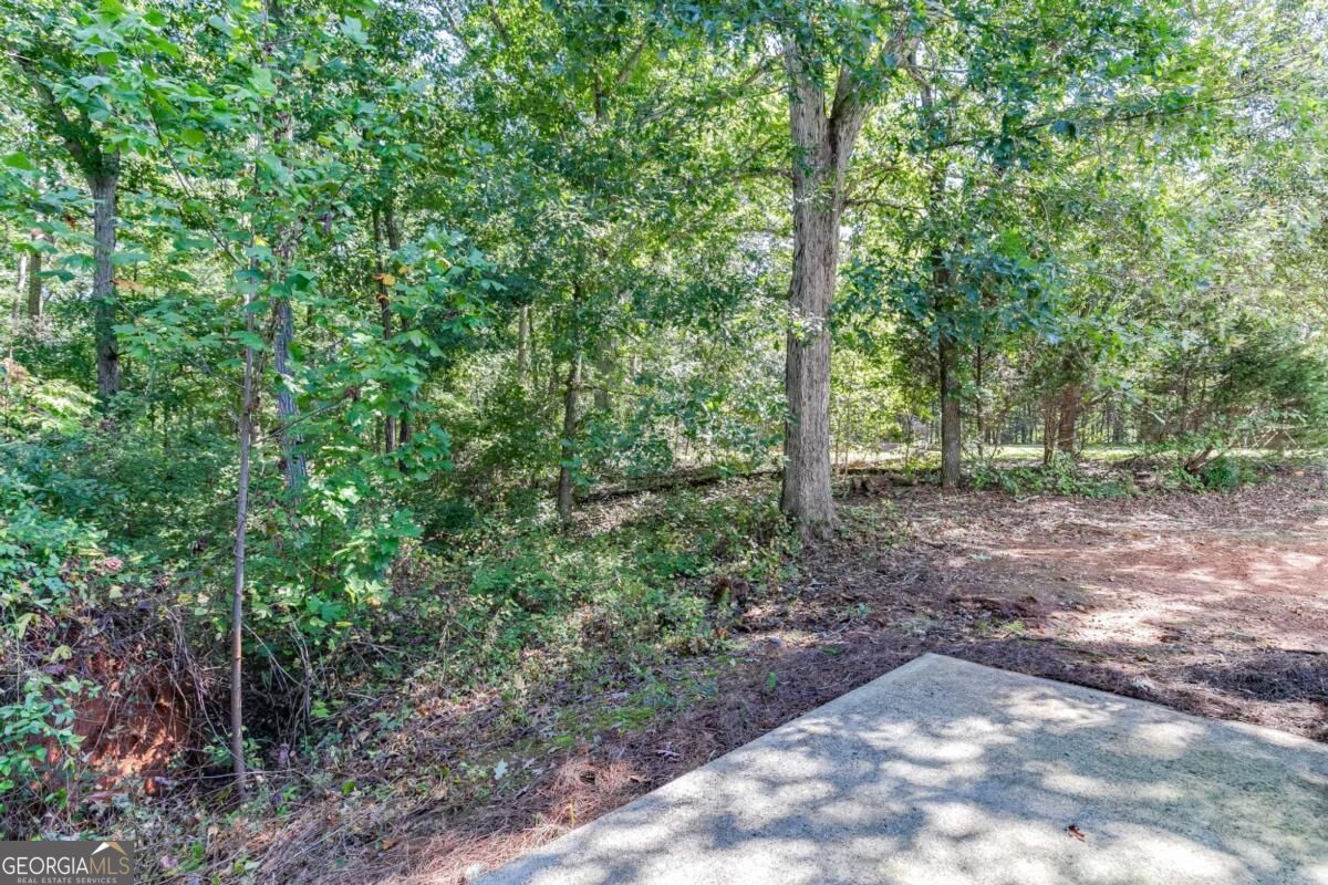 5387 Fawn Ivey Lane Property Photo 34