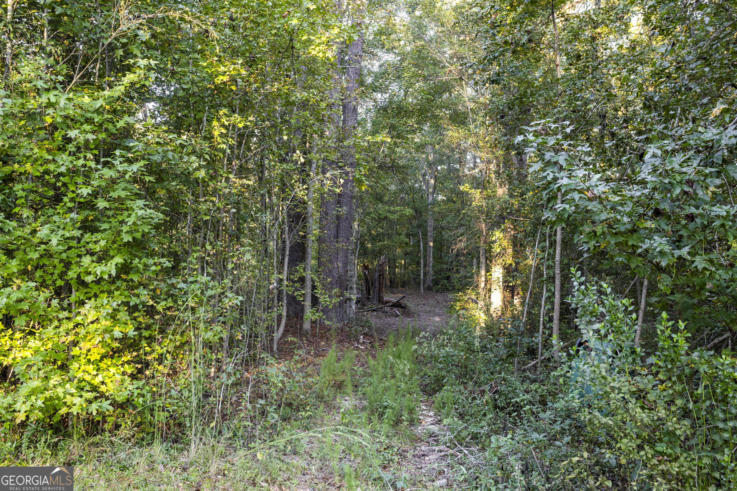 217 Forrester Cemetery Road Property Photo 35