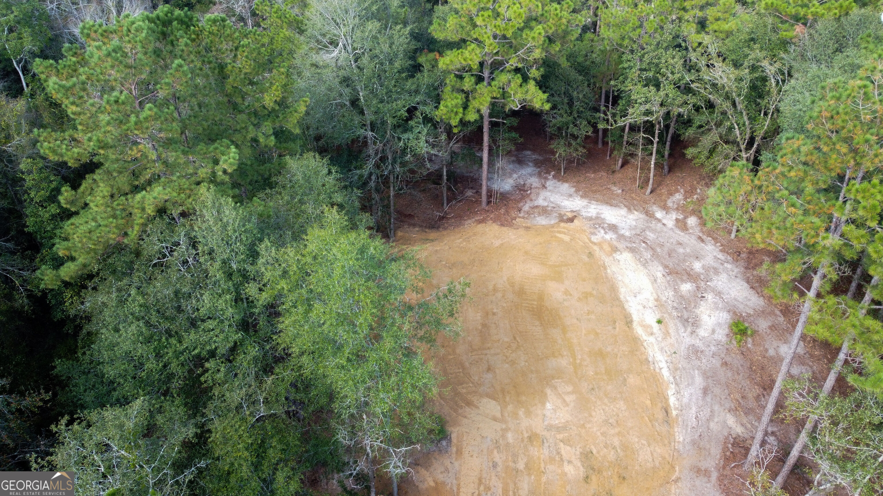 0 Canoochee Drive Property Photo 1