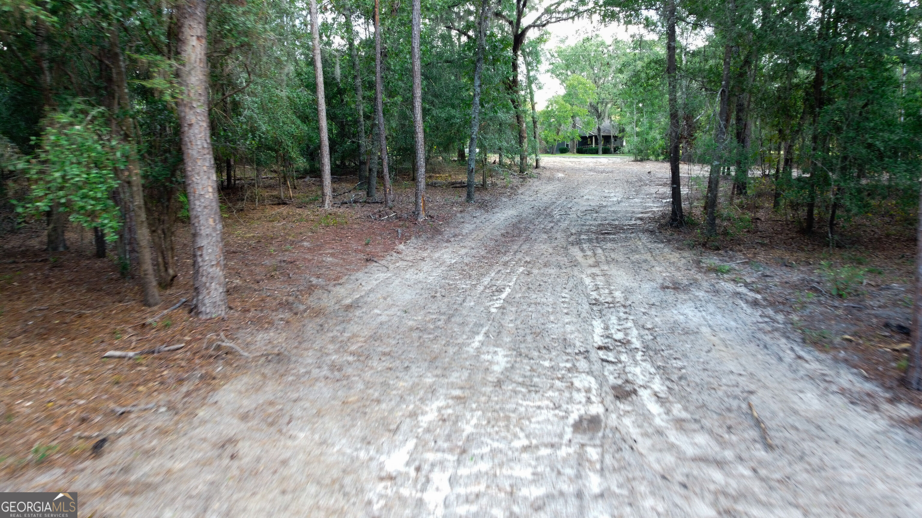 0 Canoochee Drive Property Photo 4