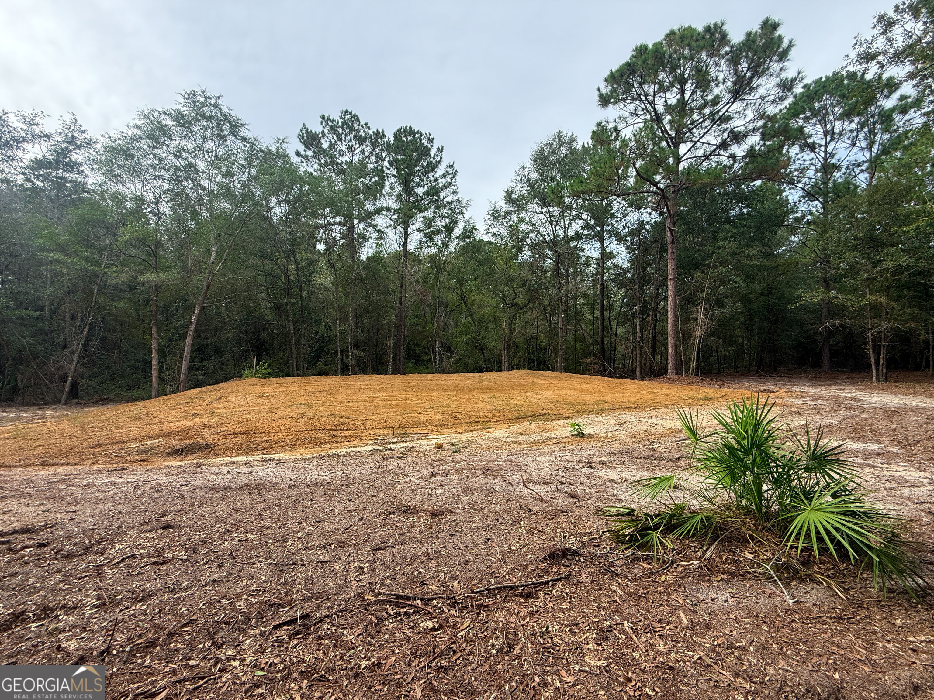 0 Canoochee Drive Property Photo 6