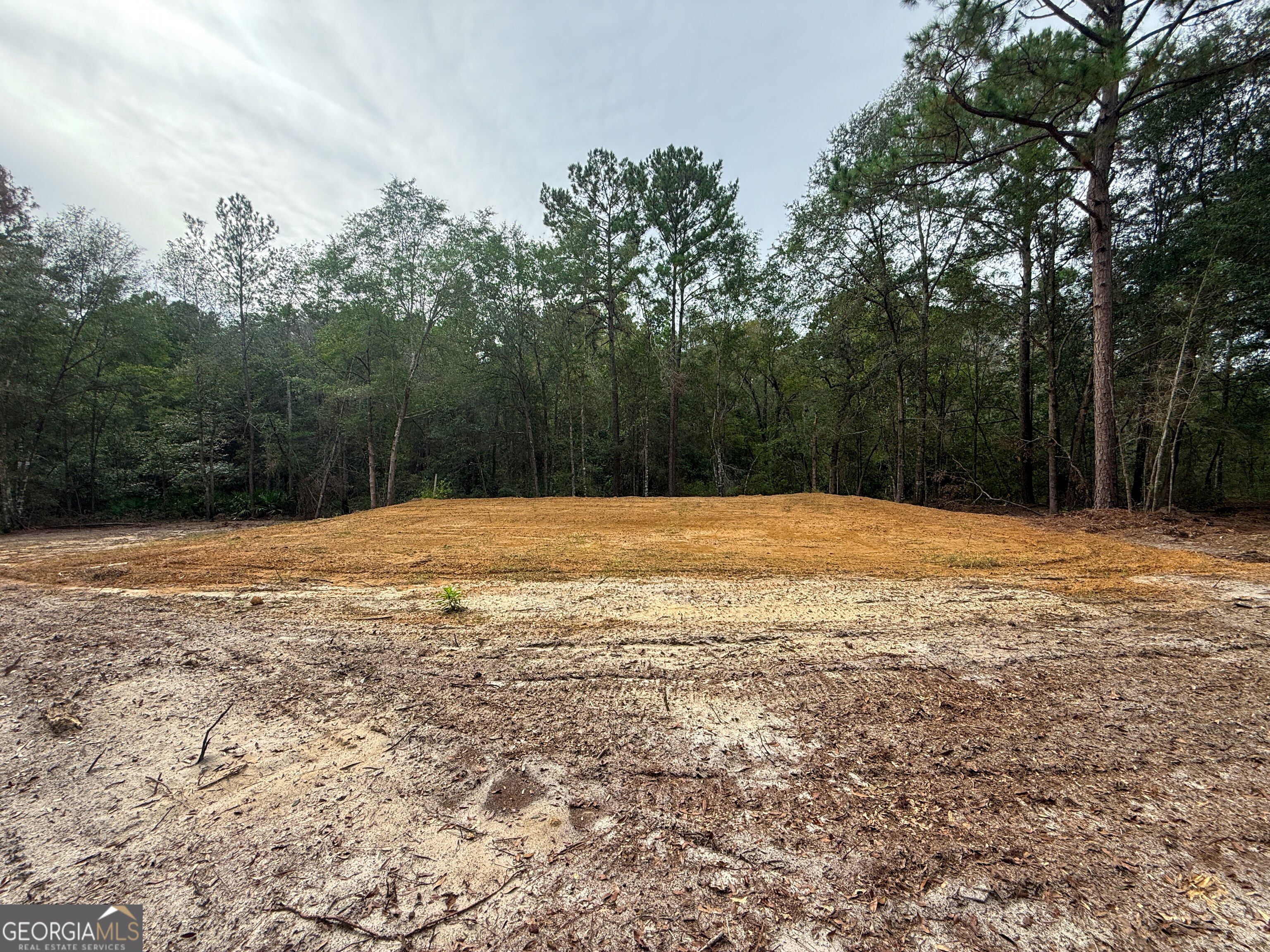 0 Canoochee Drive Property Photo 7