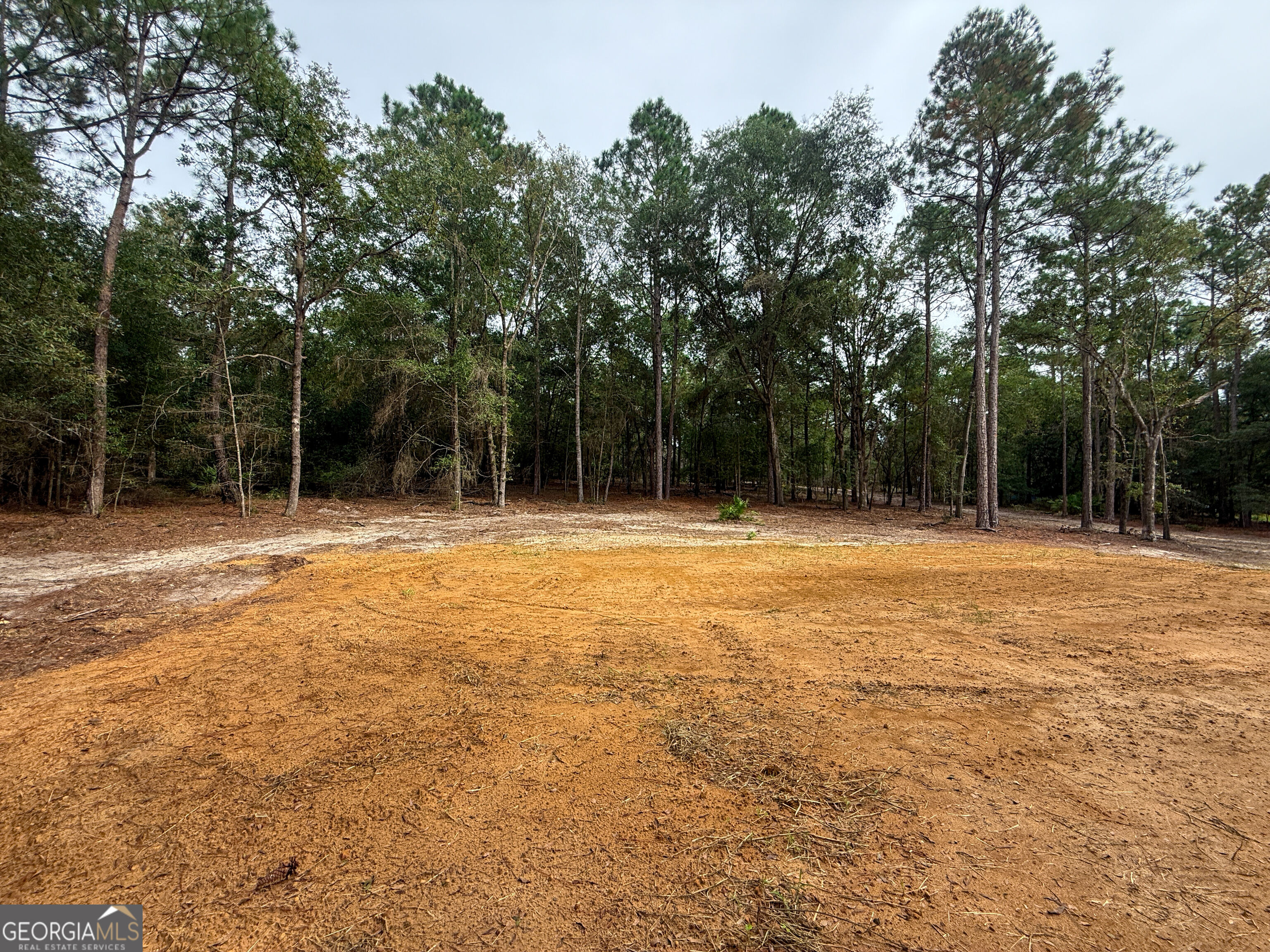 0 Canoochee Drive Property Photo 8