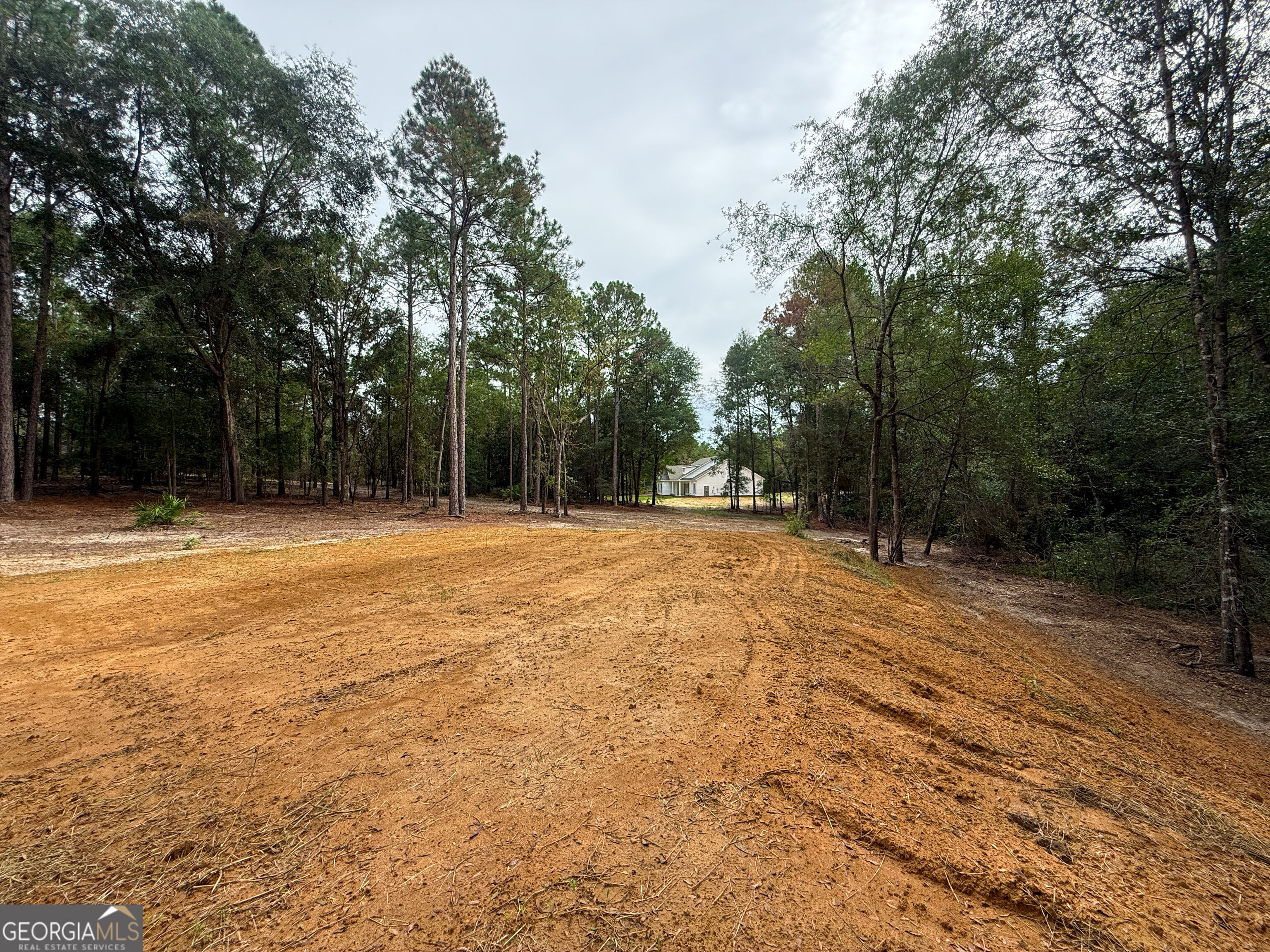 0 Canoochee Drive Property Photo 9