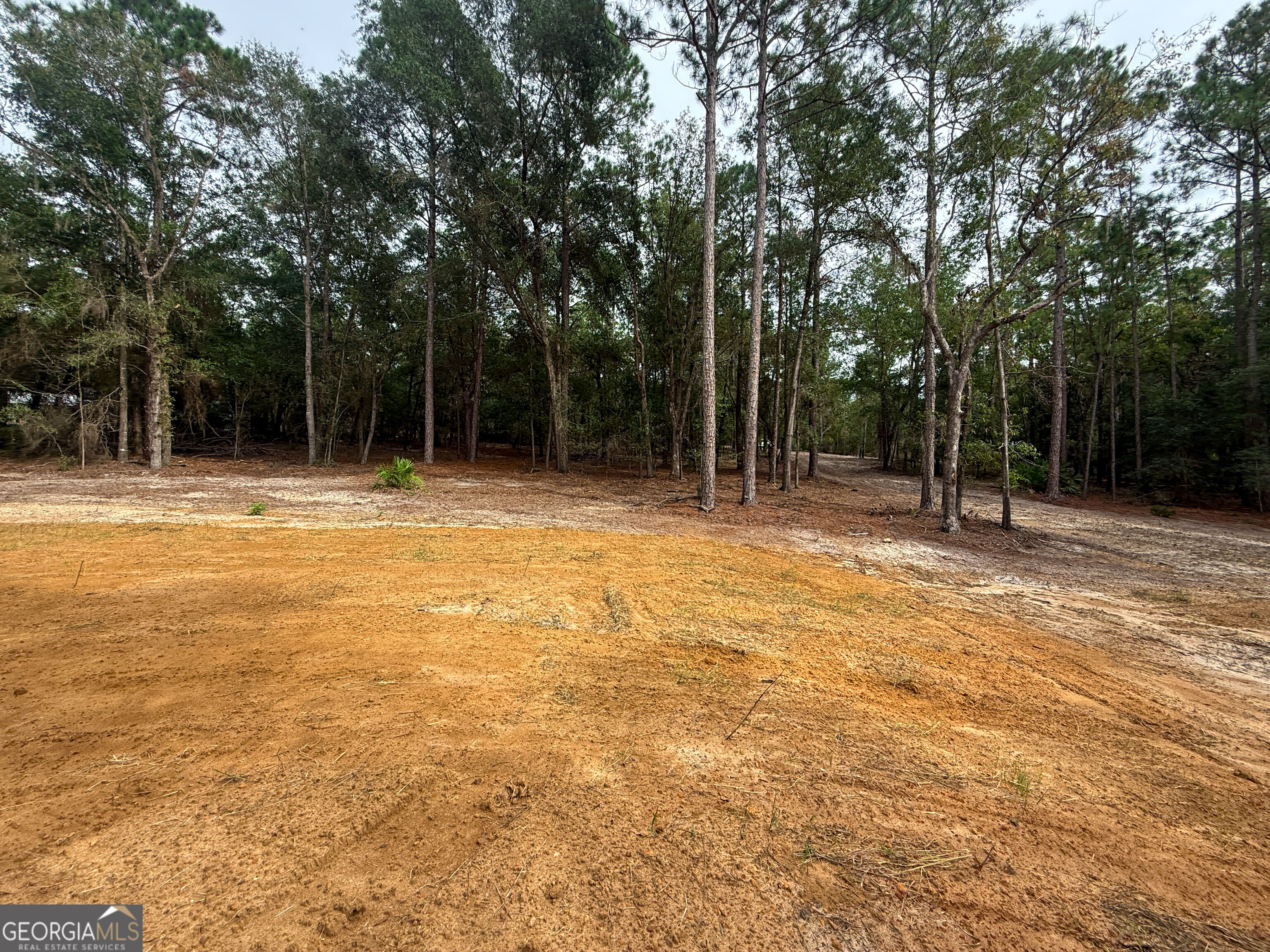 0 Canoochee Drive Property Photo 10