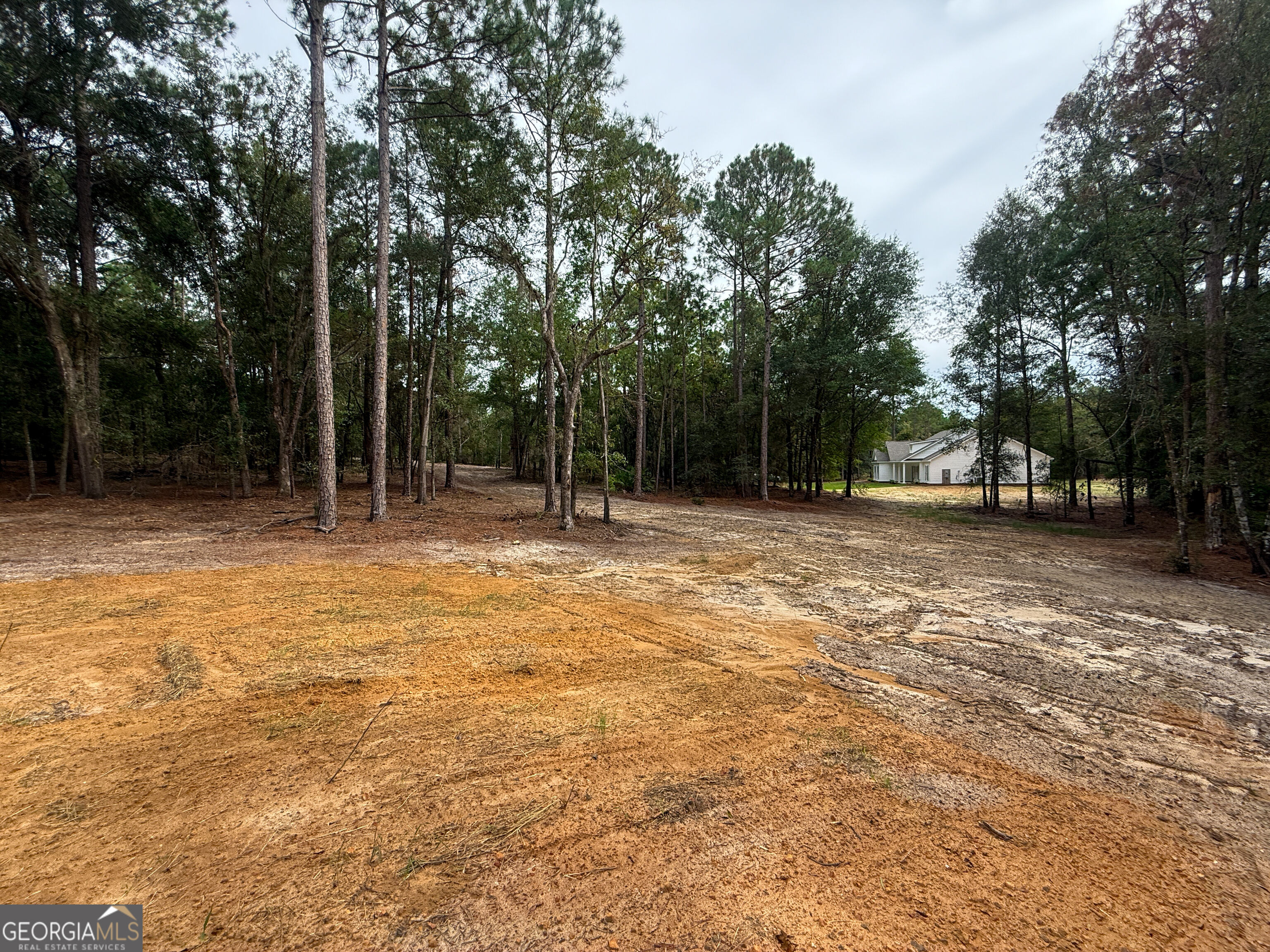 0 Canoochee Drive Property Photo 11