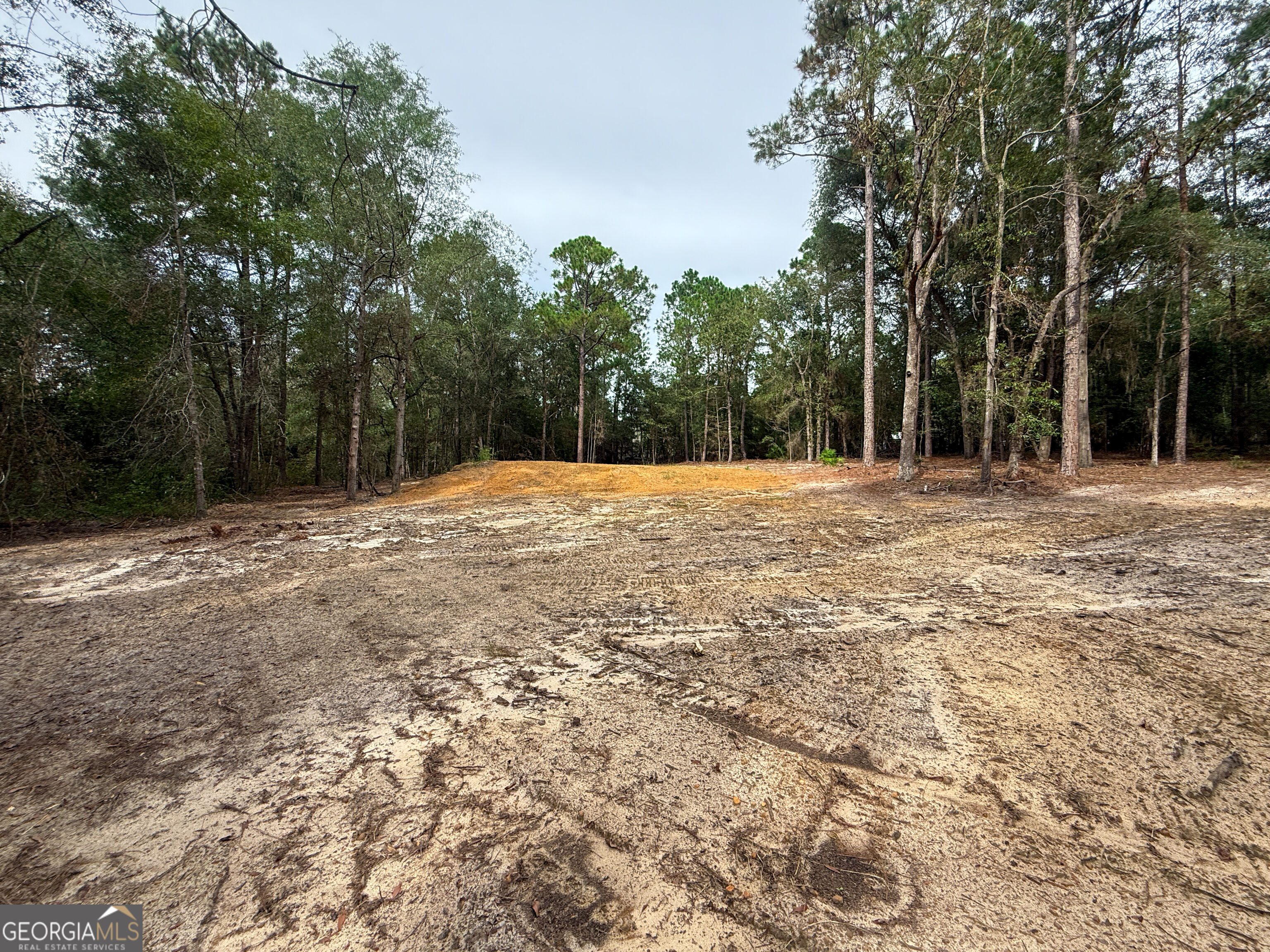 0 Canoochee Drive Property Photo 12