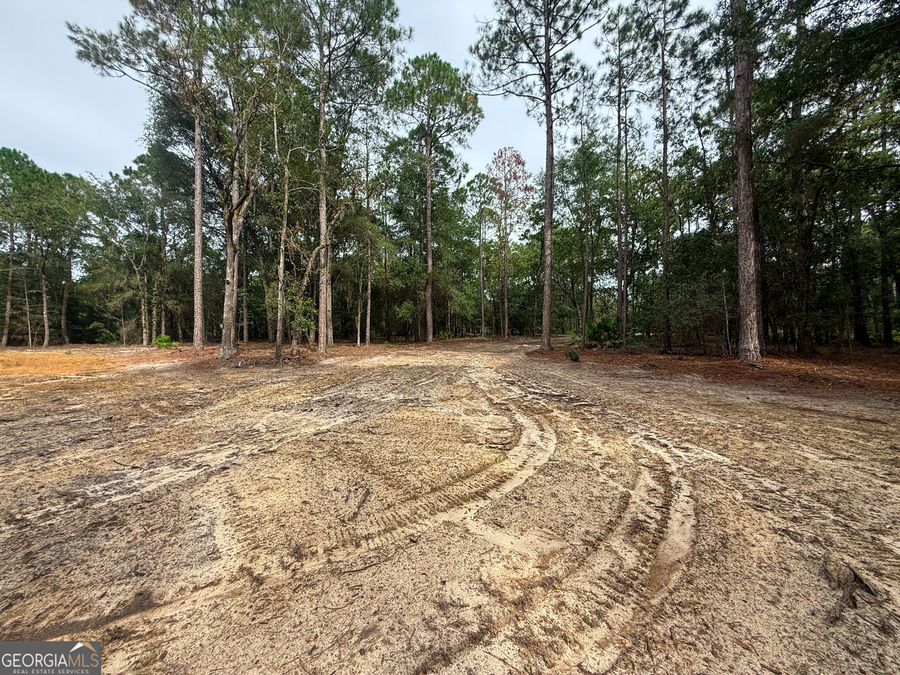 0 Canoochee Drive Property Photo 13