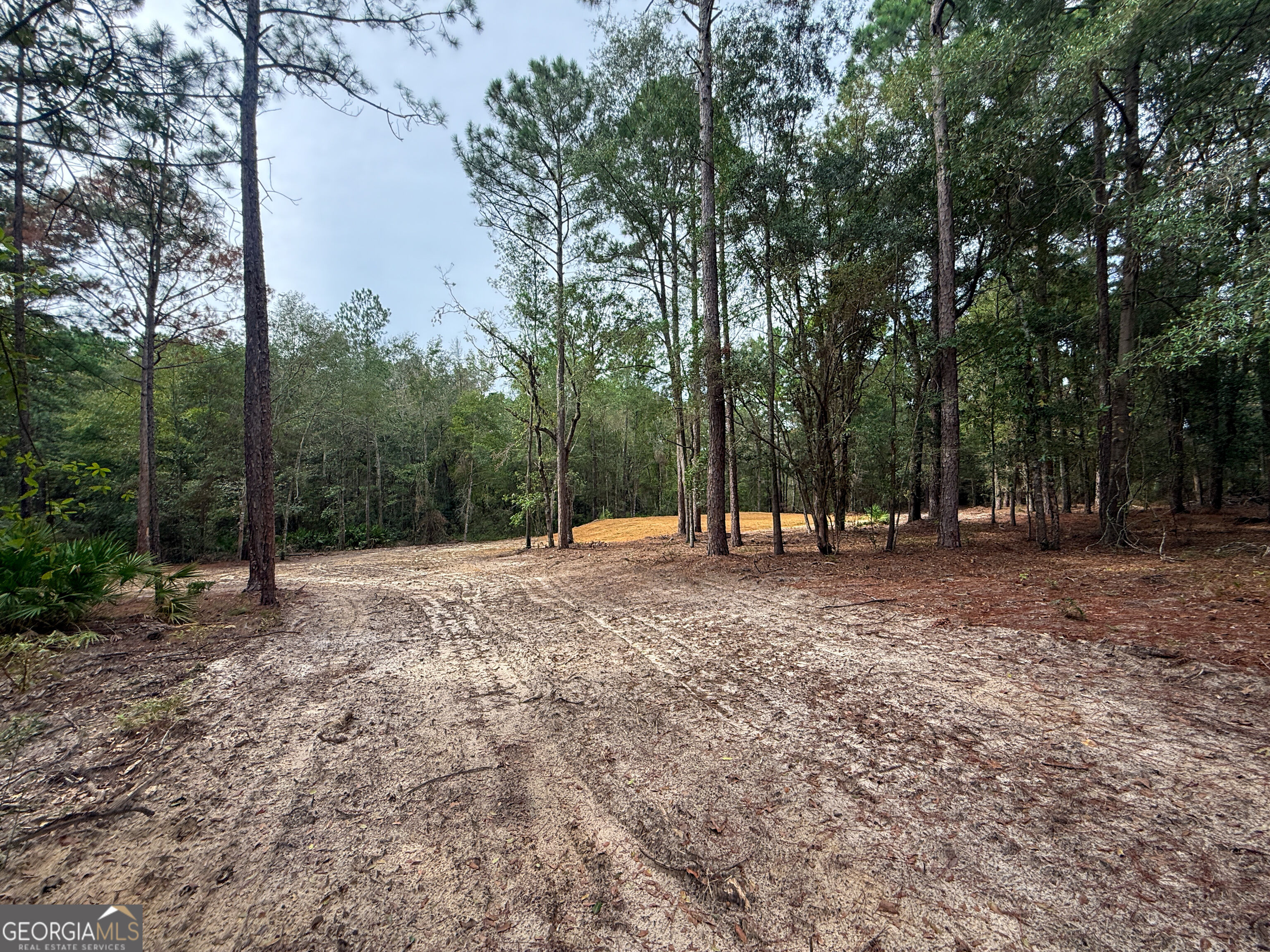 0 Canoochee Drive Property Photo 14