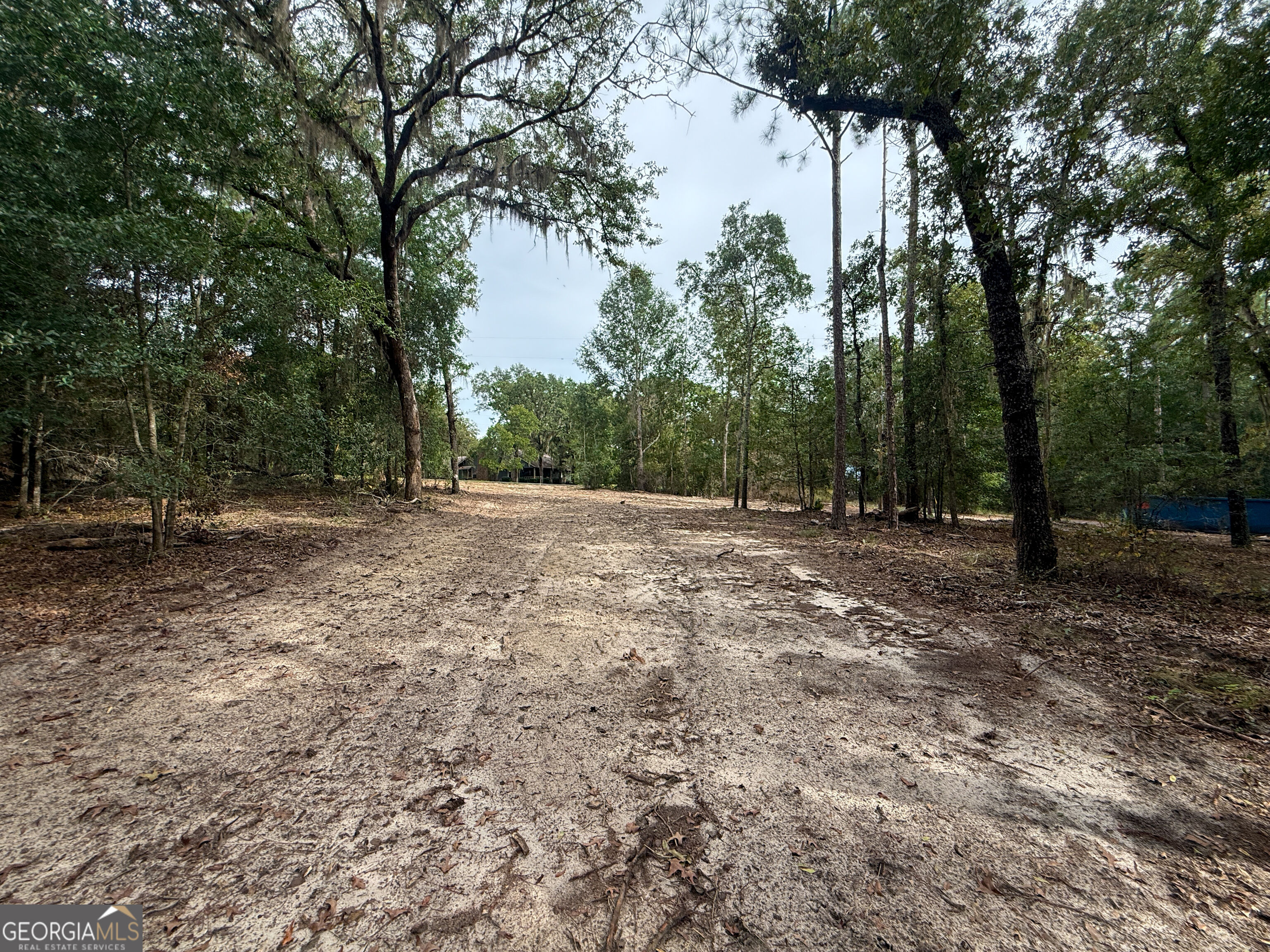 0 Canoochee Drive Property Photo 15