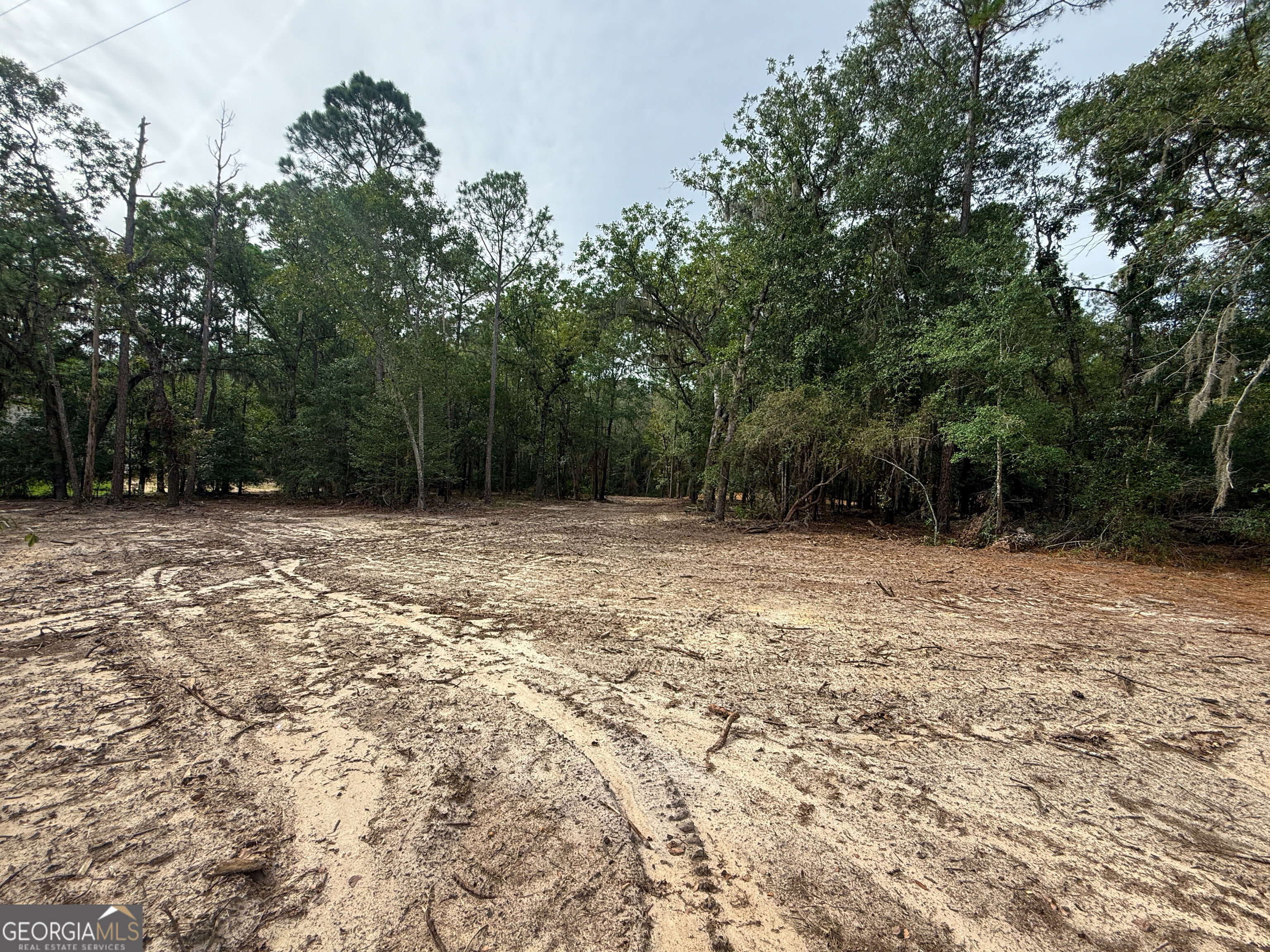 0 Canoochee Drive Property Photo 16