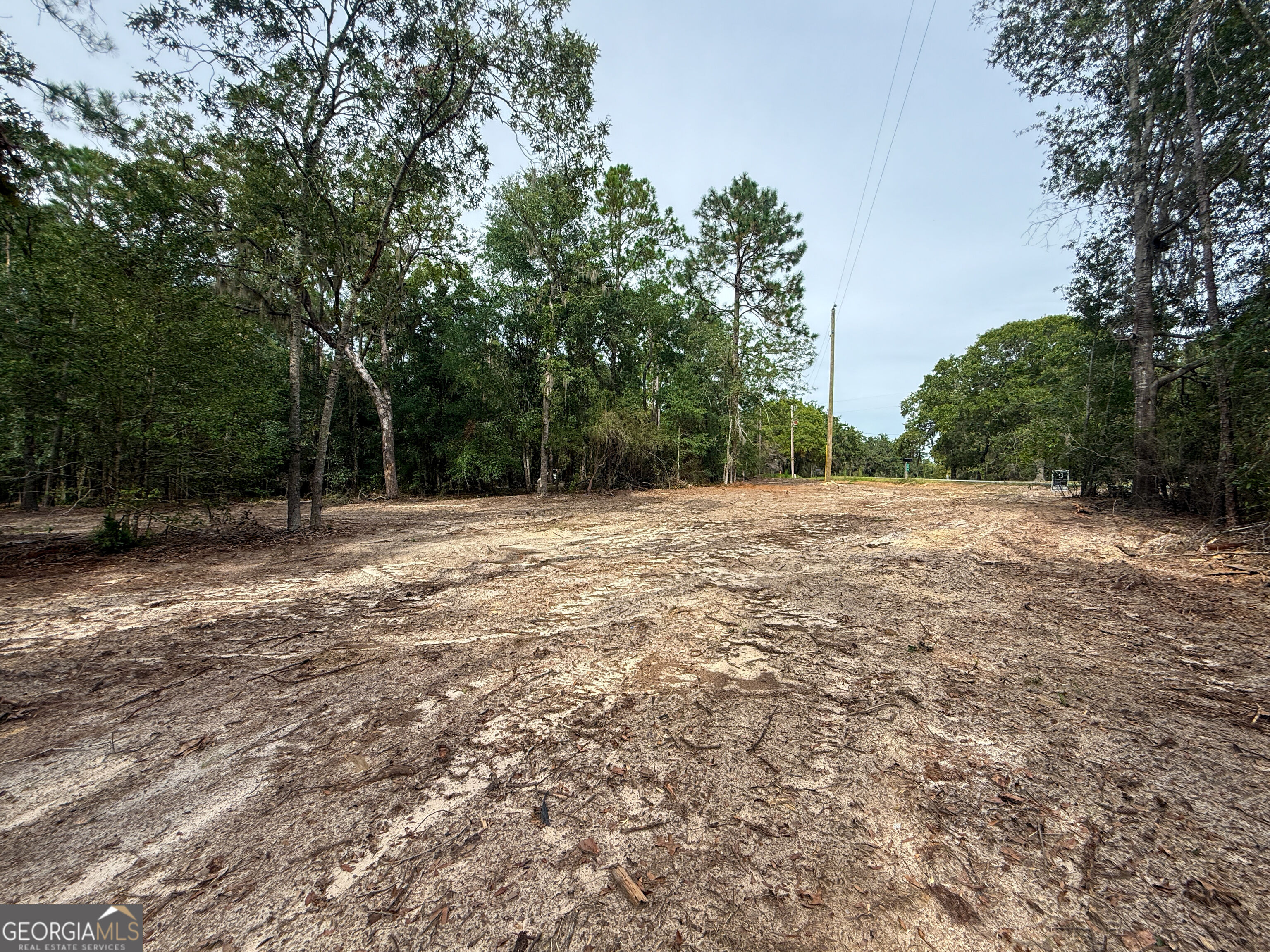 0 Canoochee Drive Property Photo 17