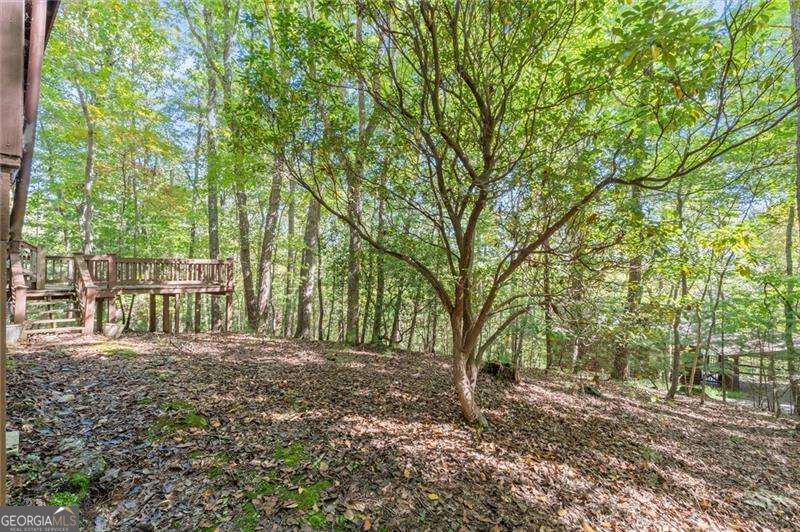 726 Cherry Lake Drive Property Photo 13