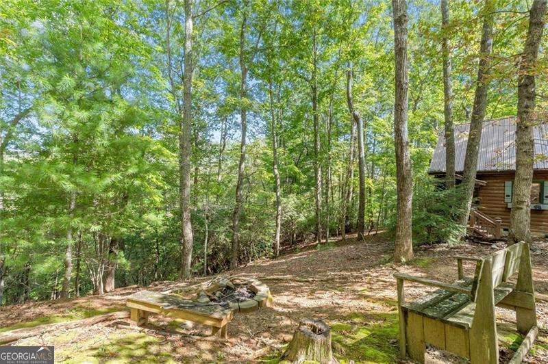 726 Cherry Lake Drive Property Photo 35