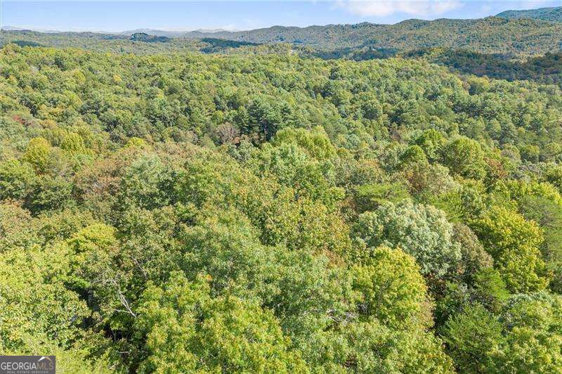 726 Cherry Lake Drive Property Photo 39
