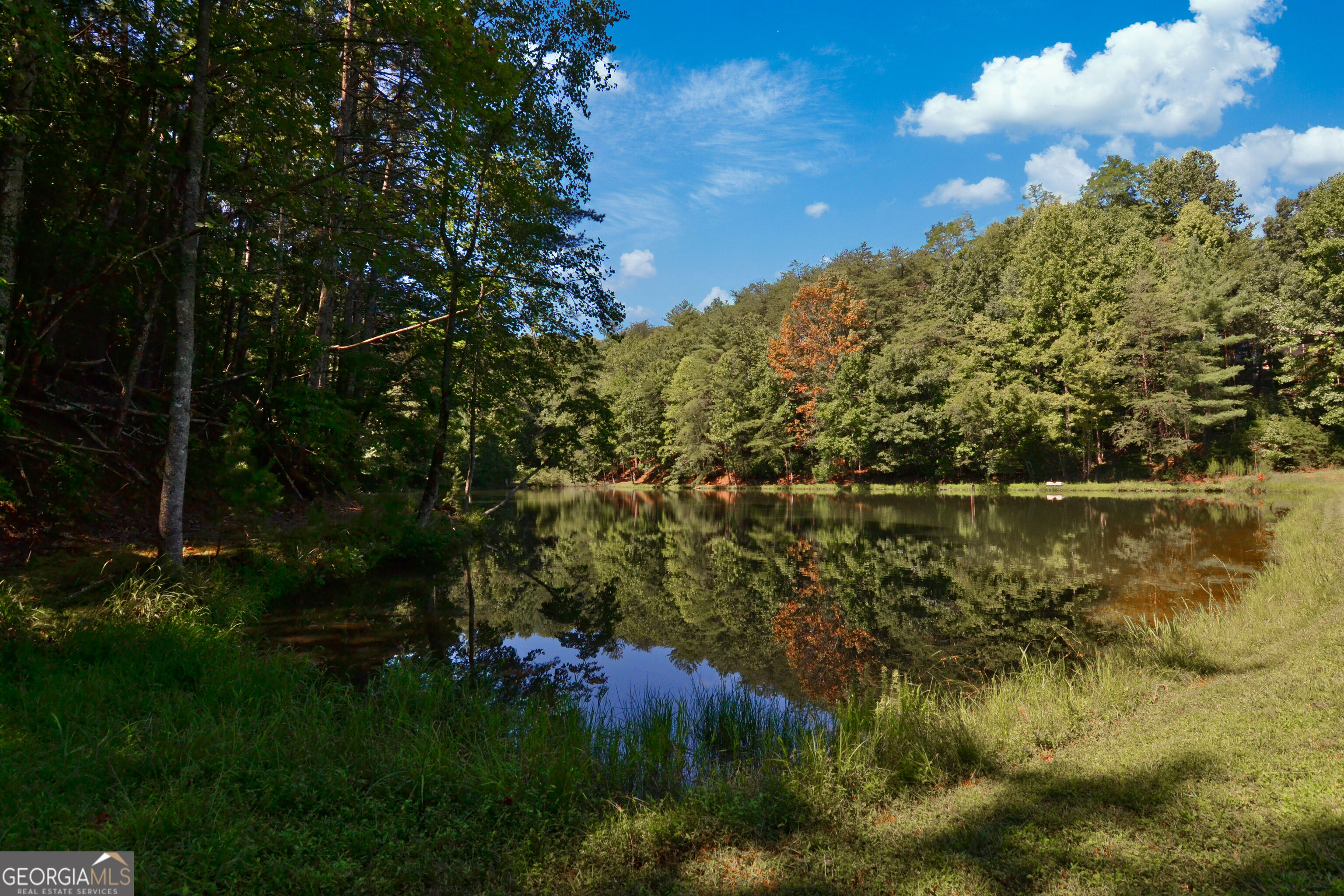 257 Pine Ridge Road Property Photo 59