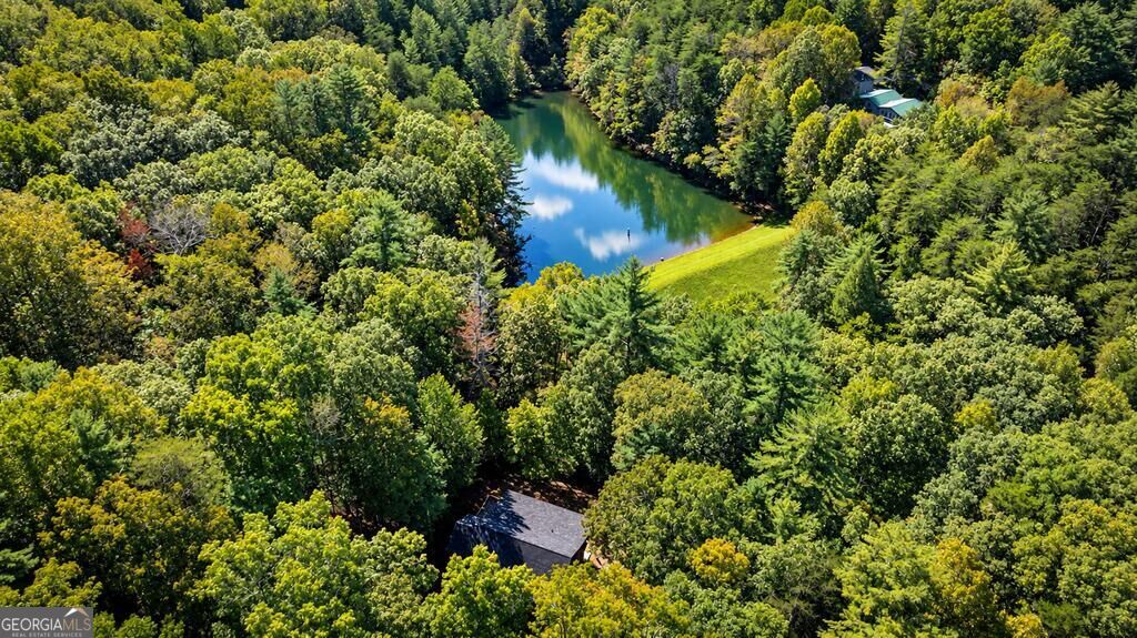 257 Pine Ridge Road Property Photo 67