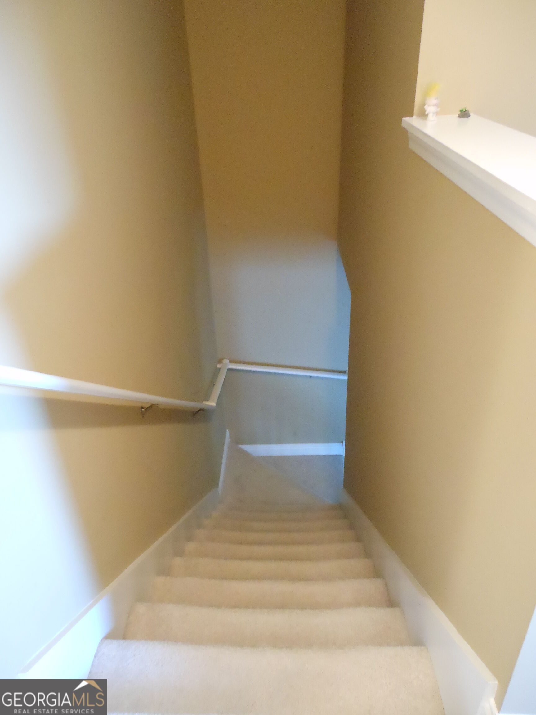 287 Oconee River Circle Property Photo 11