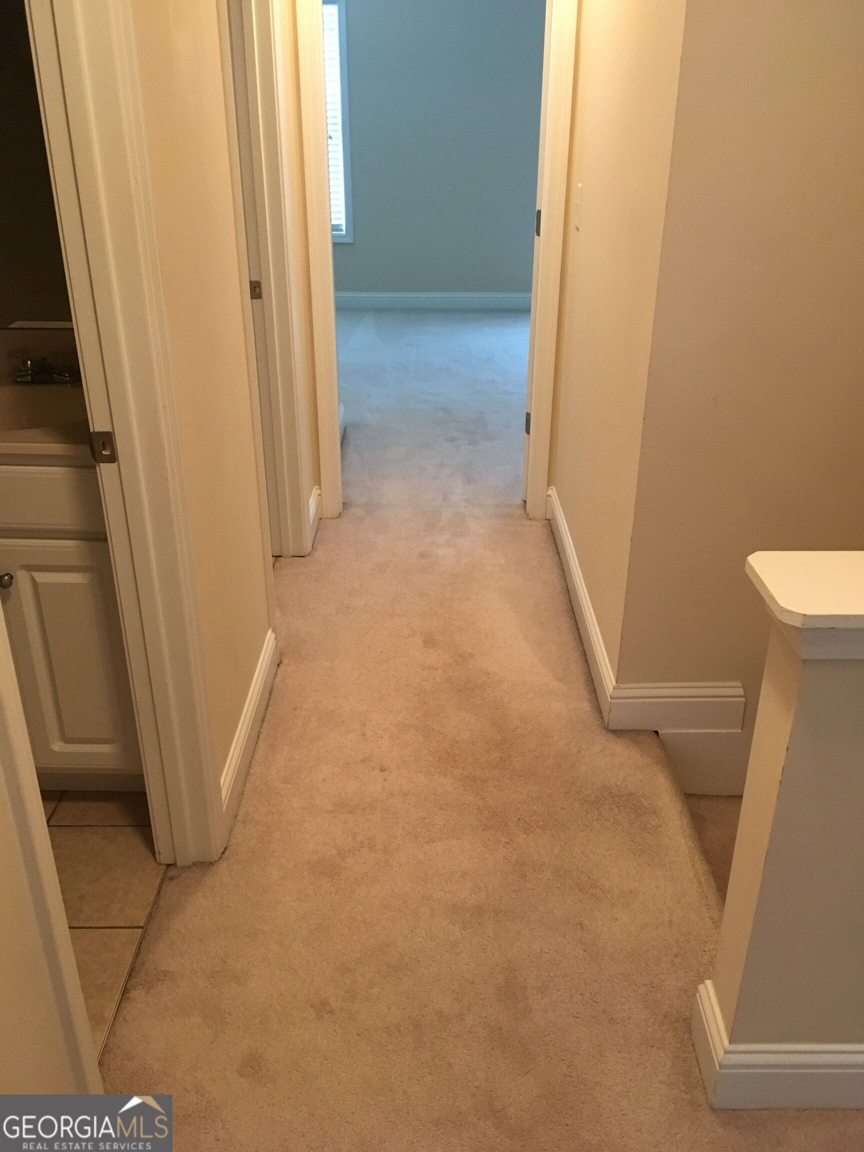 287 Oconee River Circle Property Photo 15