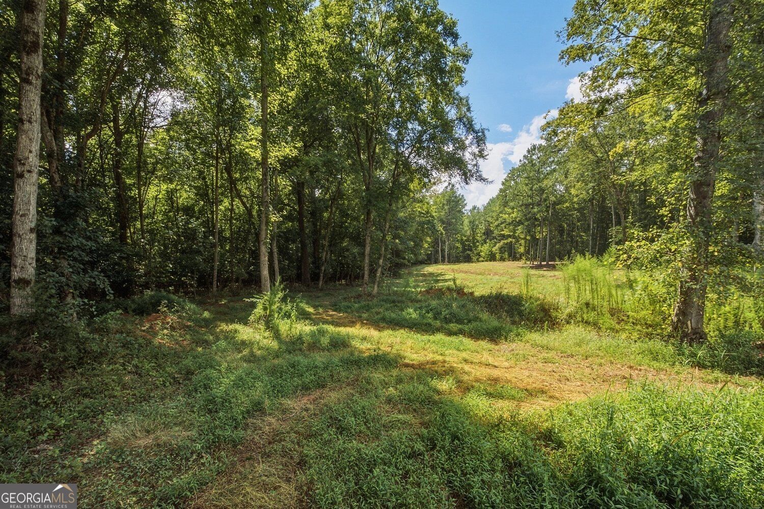 5147 Stout Parkway Sw Property Photo 50