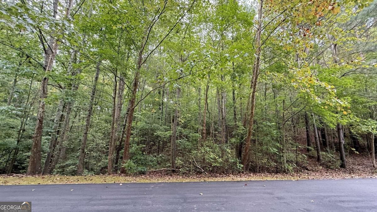 8935 Saddle Trail Property Photo 3