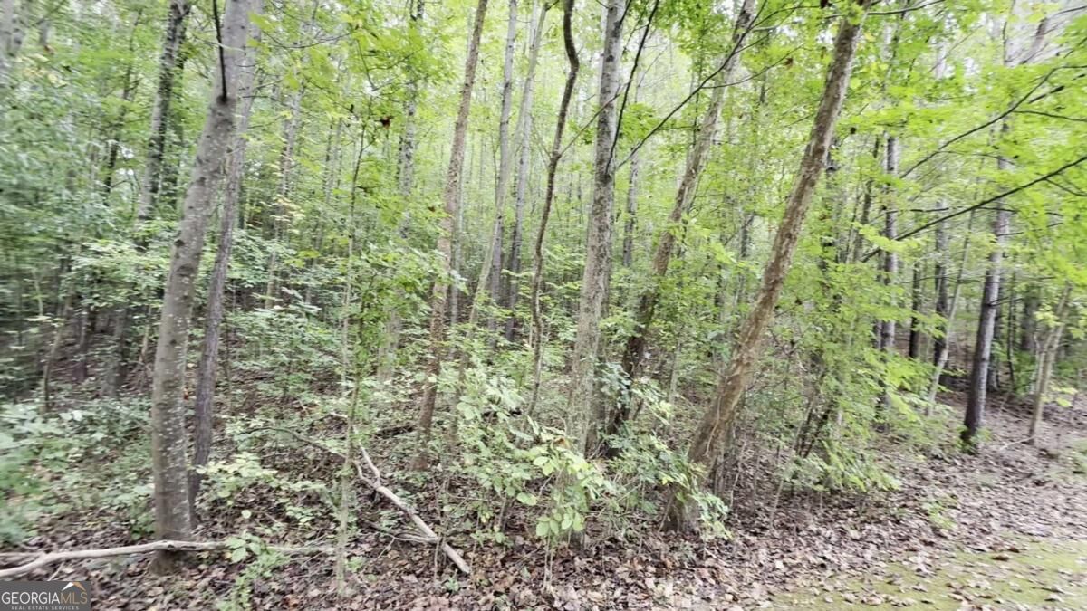 8935 Saddle Trail Property Photo 4