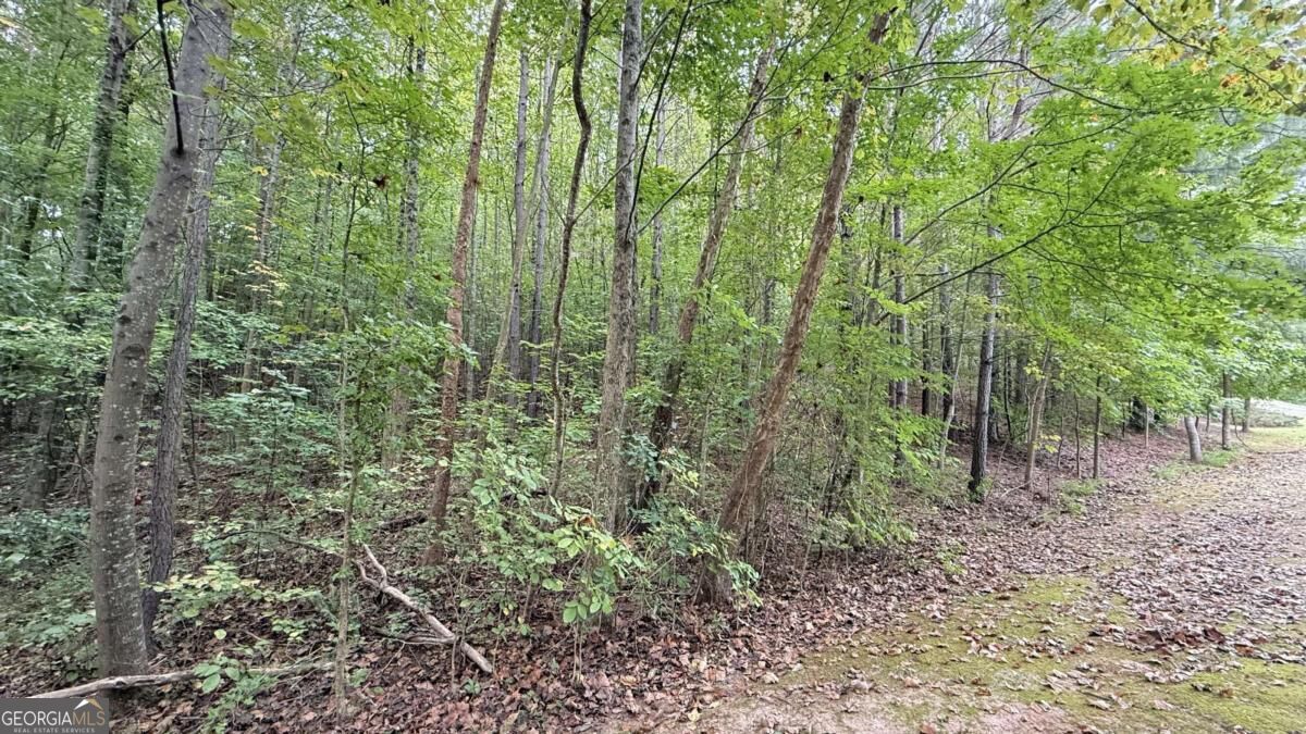 8935 Saddle Trail Property Photo 5