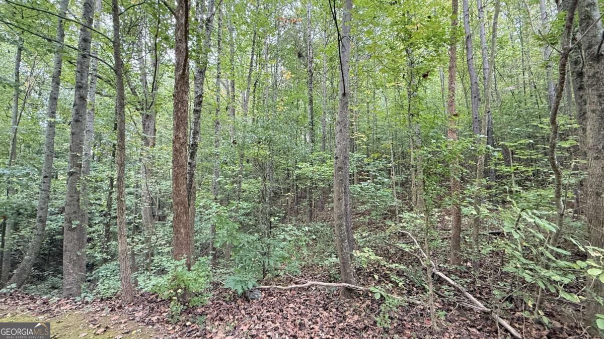 8935 Saddle Trail Property Photo 6