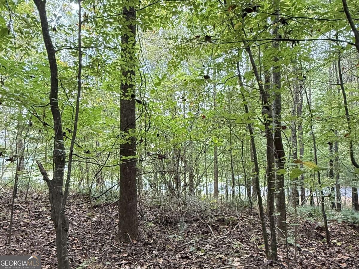 8935 Saddle Trail Property Photo 7
