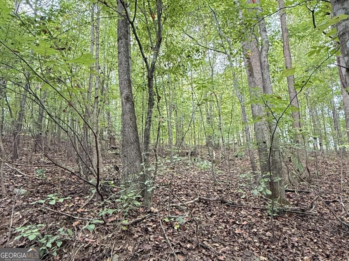 8935 Saddle Trail Property Photo 9