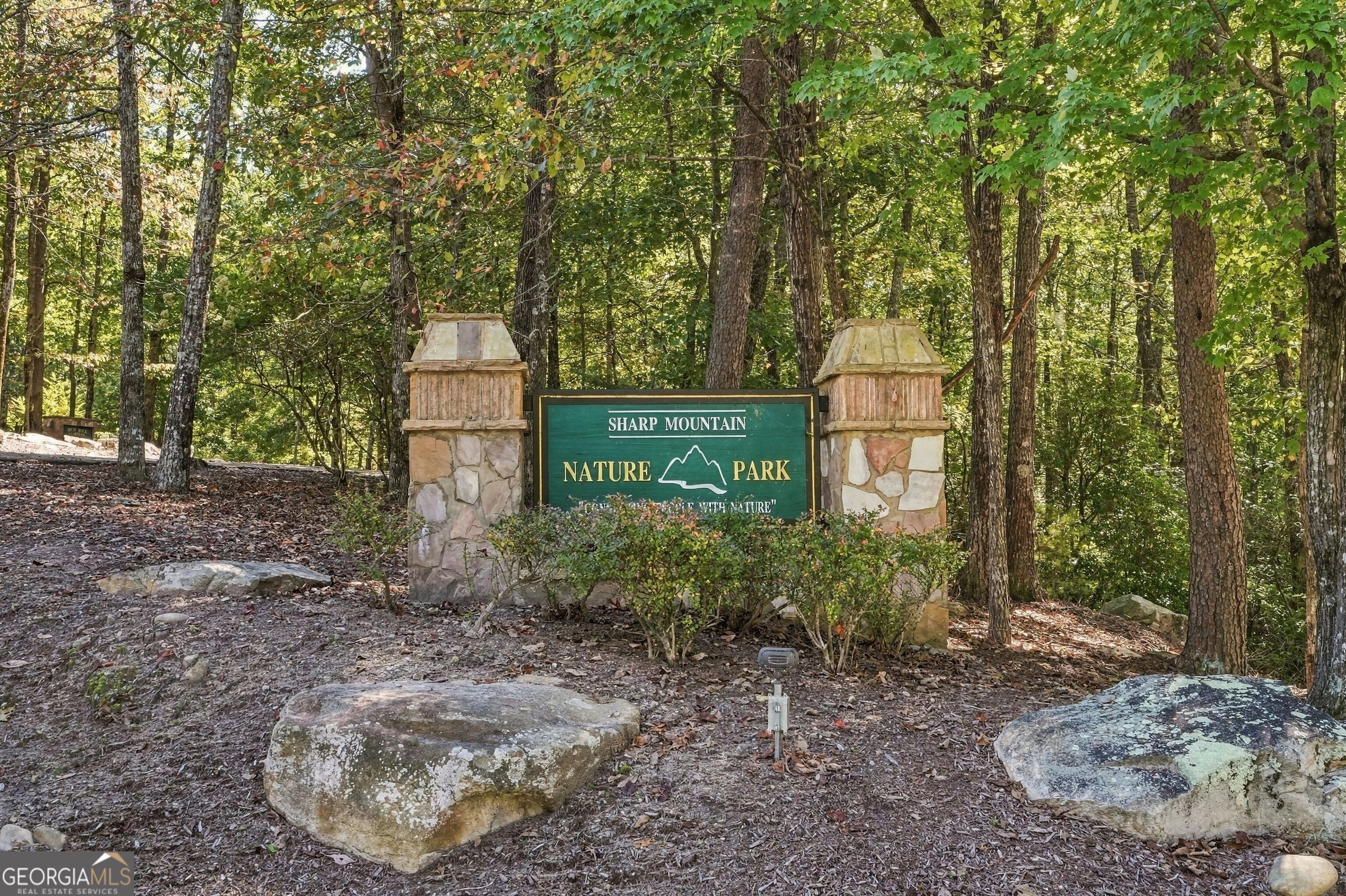 415 Sharp Mountain Parkway Property Photo 78