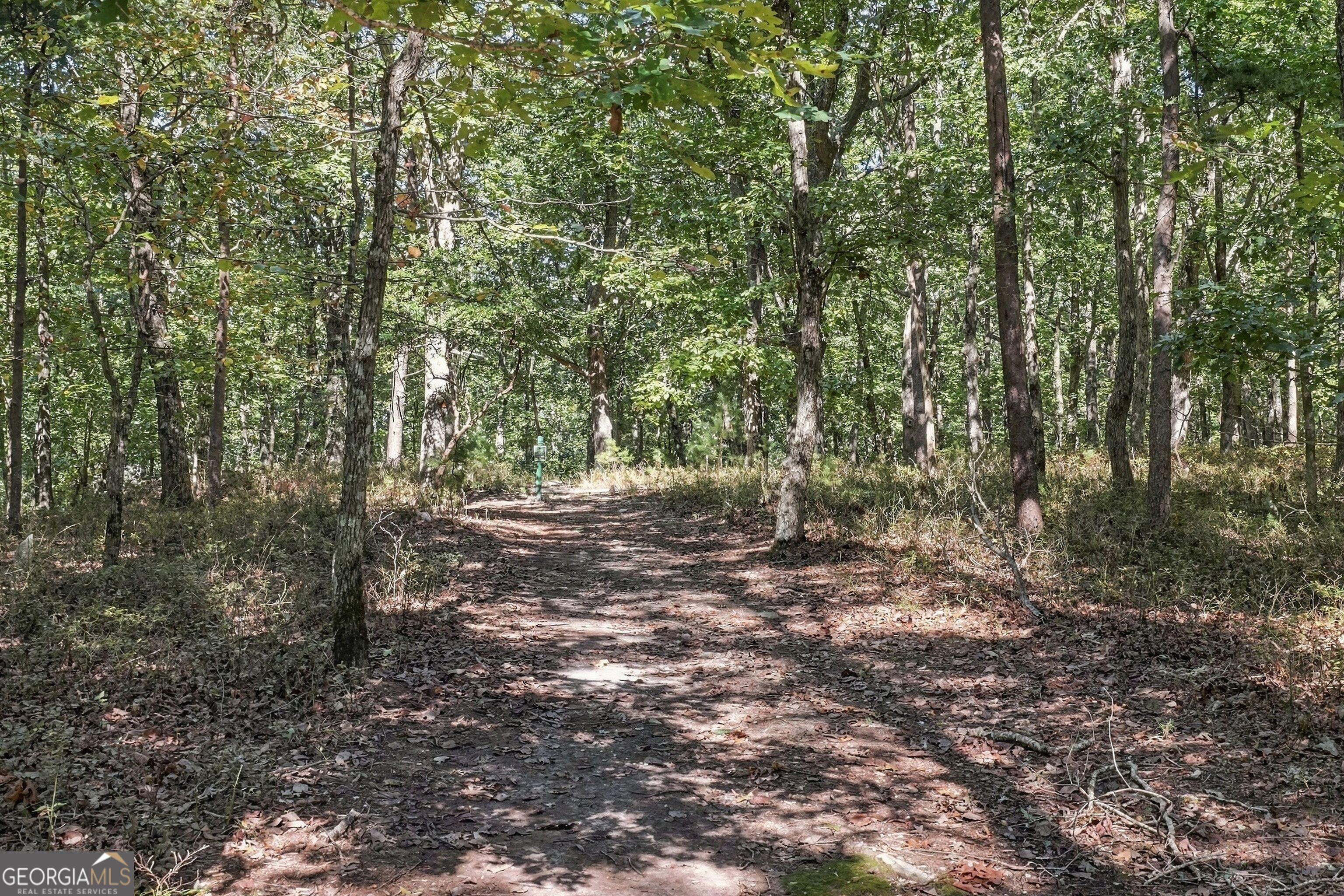 415 Sharp Mountain Parkway Property Photo 83