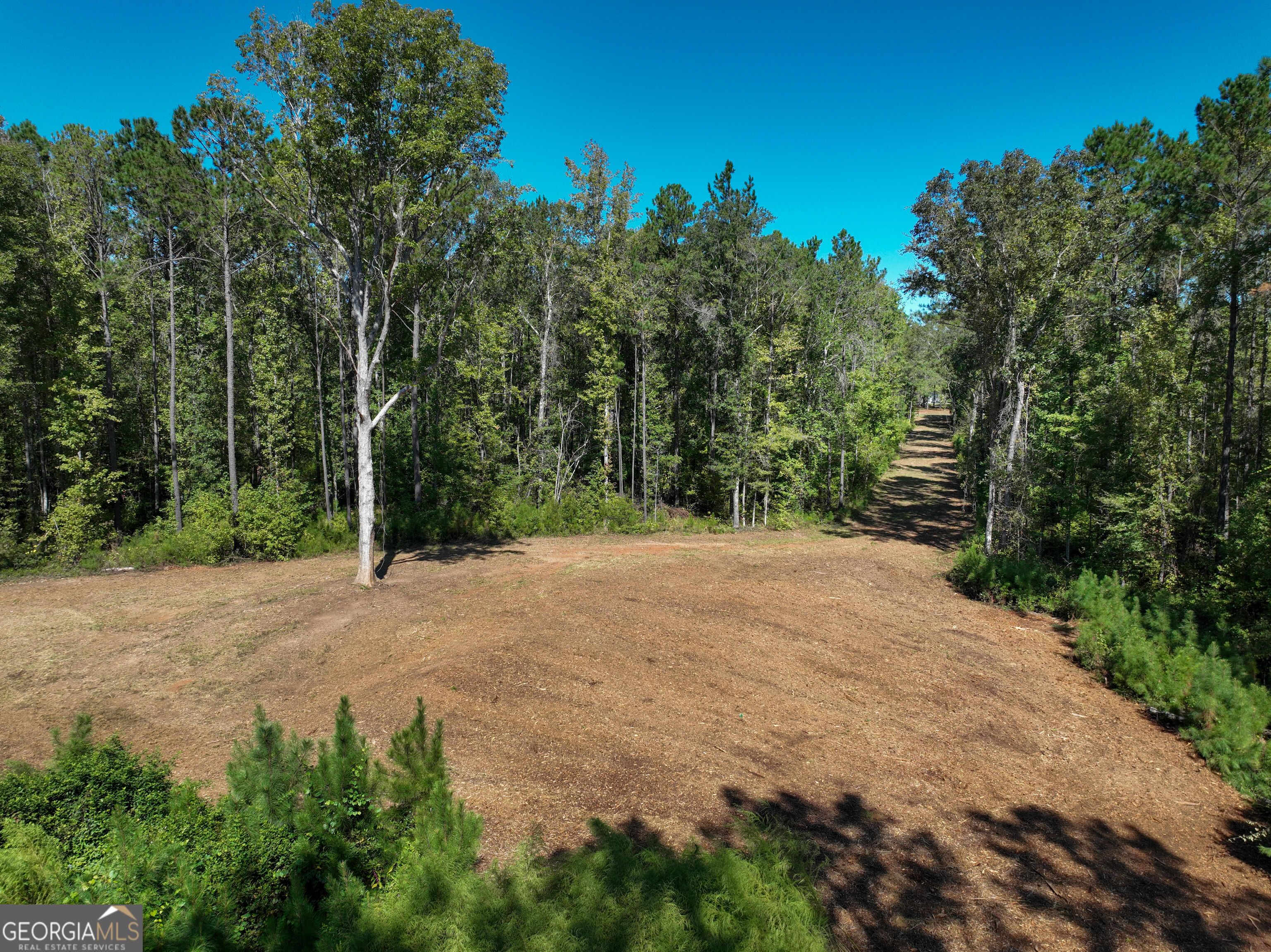 0 Buck Run Road Property Photo 1