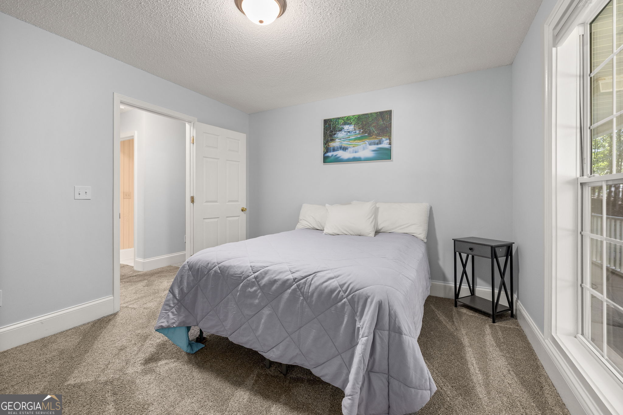 164 Williamson Street Property Photo 21